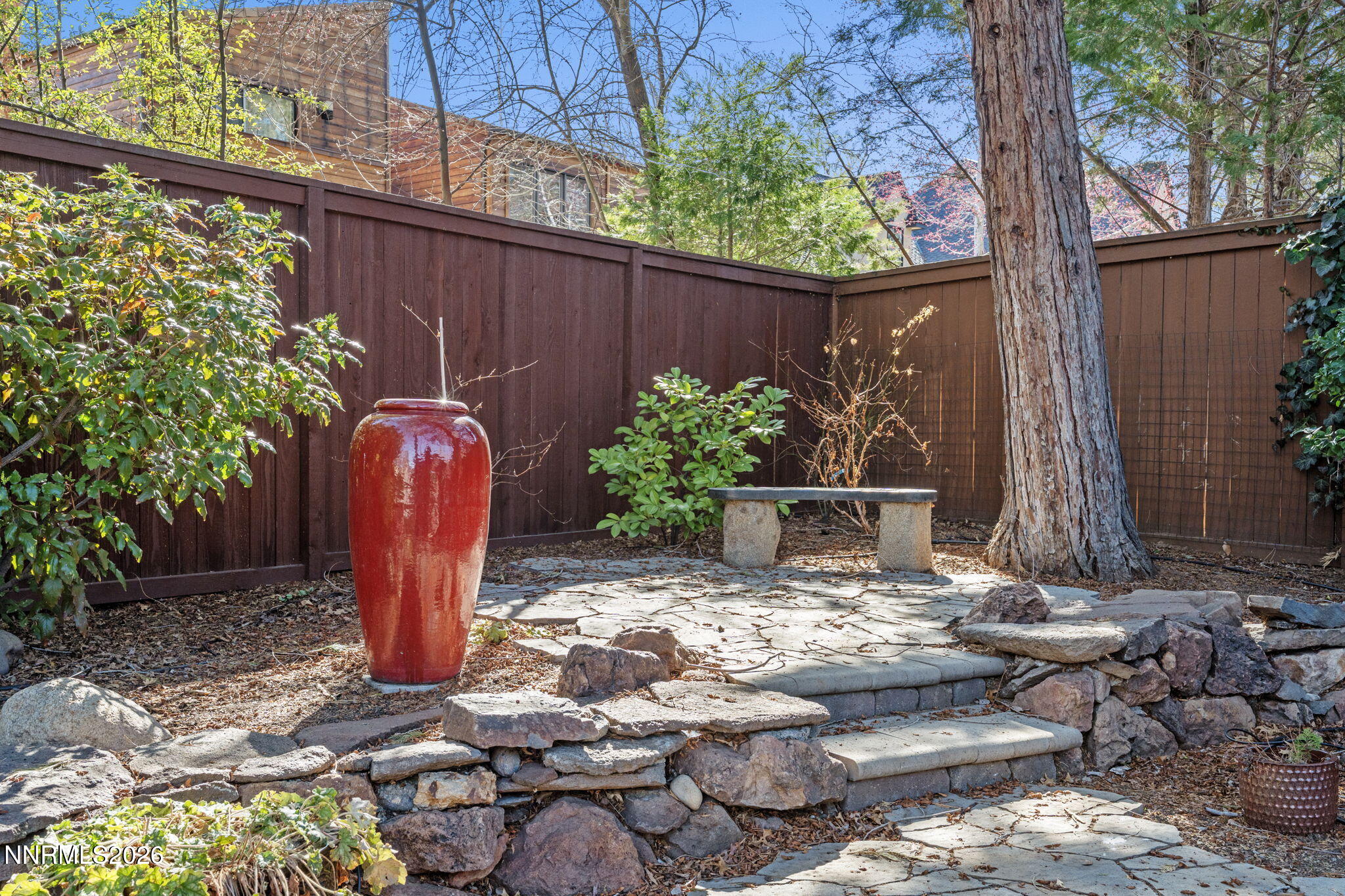 Backyard 5