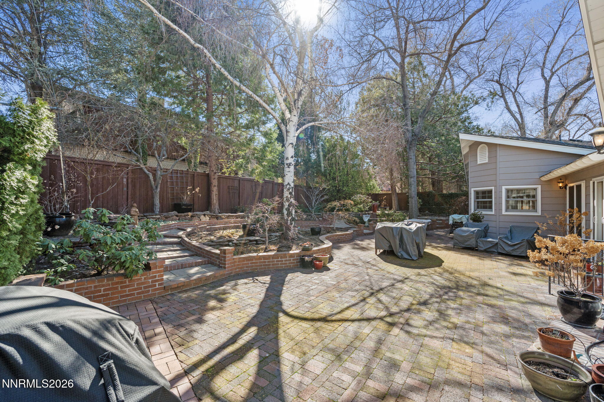 Backyard 4