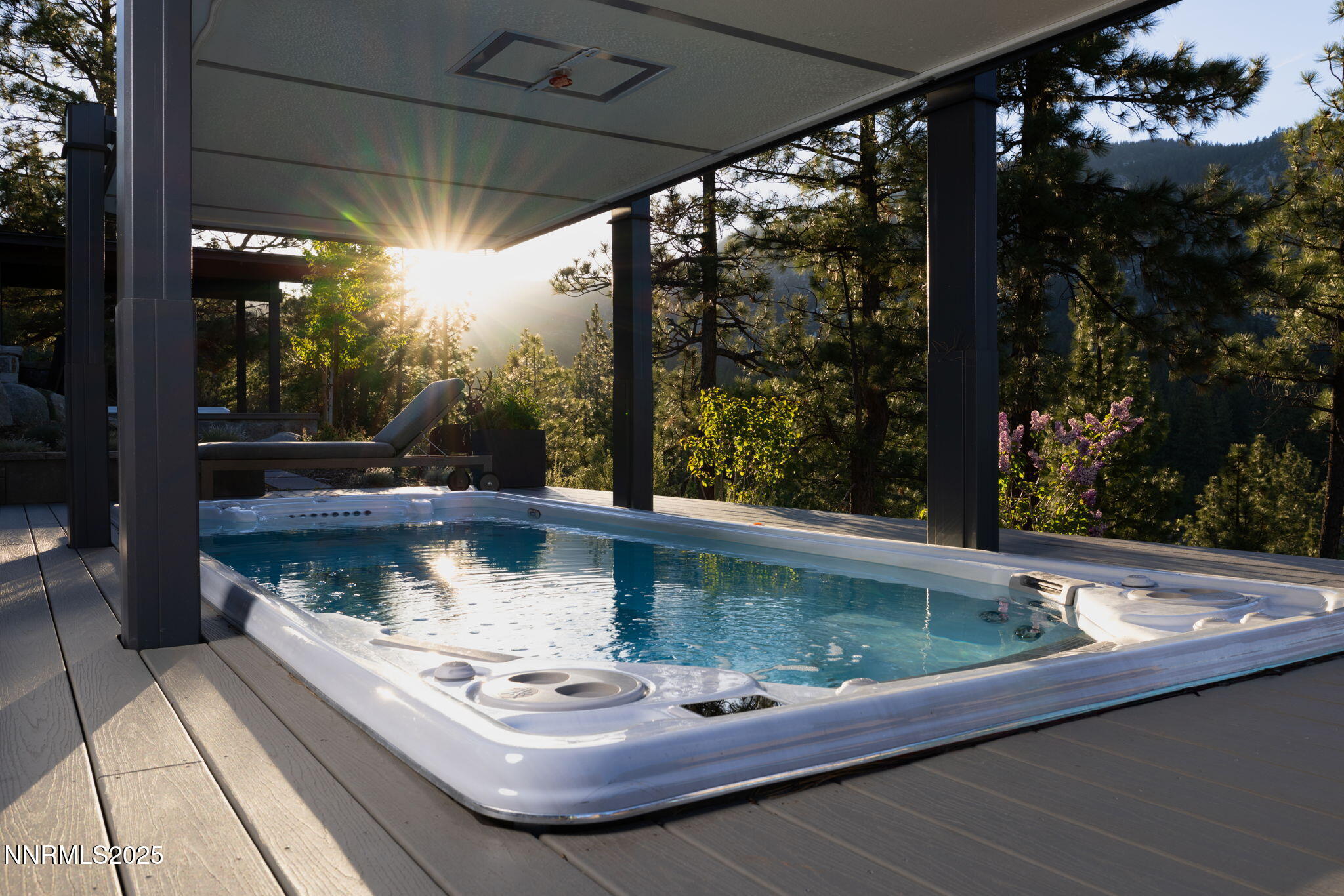 Swim Spa