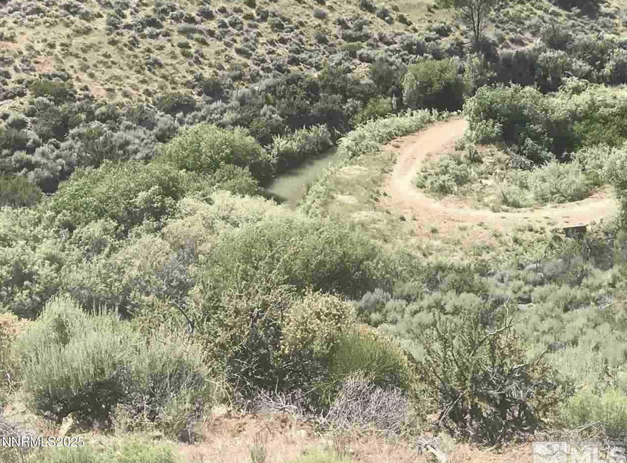 Screenshot 2025-08-12 at 7.26.47AM