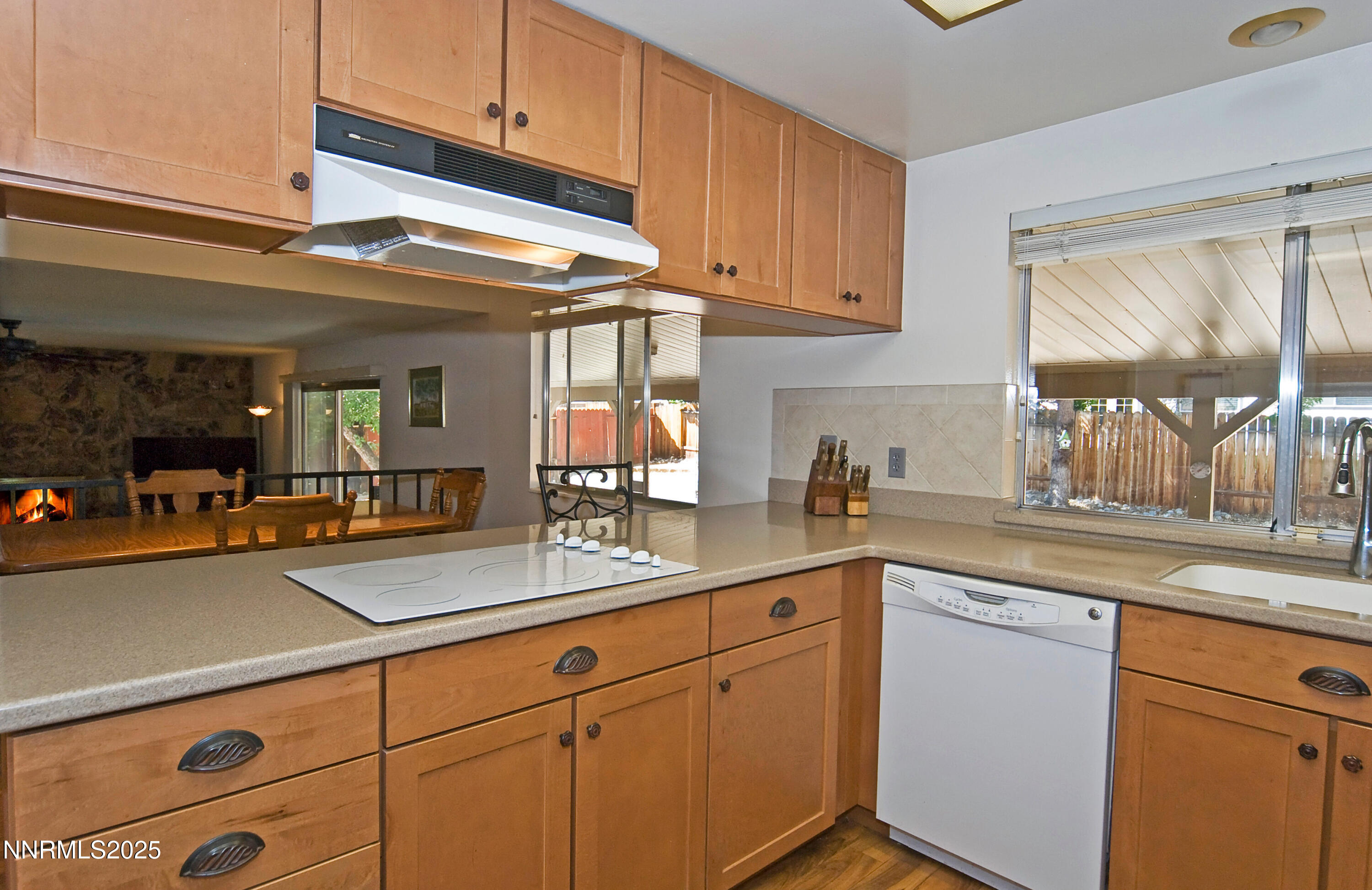 4875 Golden Springs Dr Reno NV-print-019