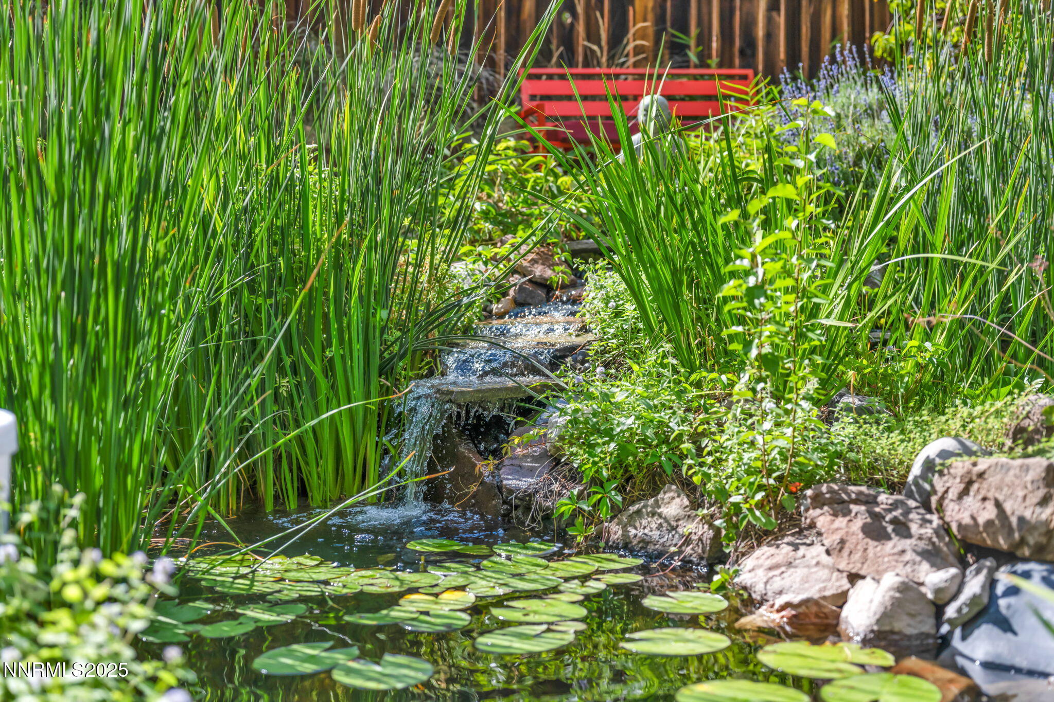 17-web-or-mls-1633-knox-ave