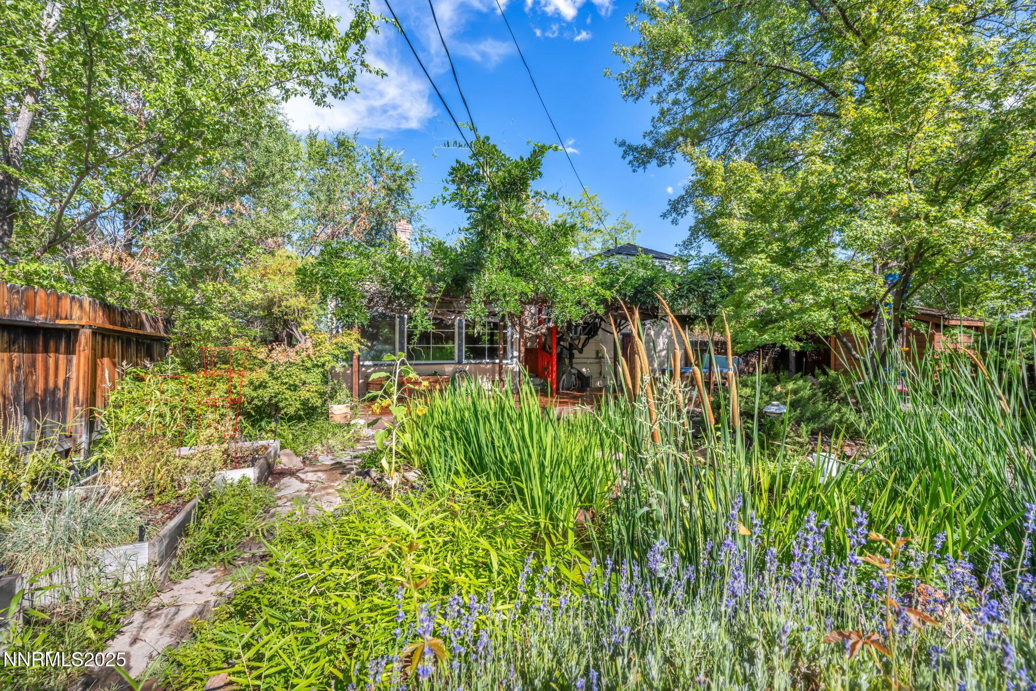 26-web-or-mls-1633-knox-ave