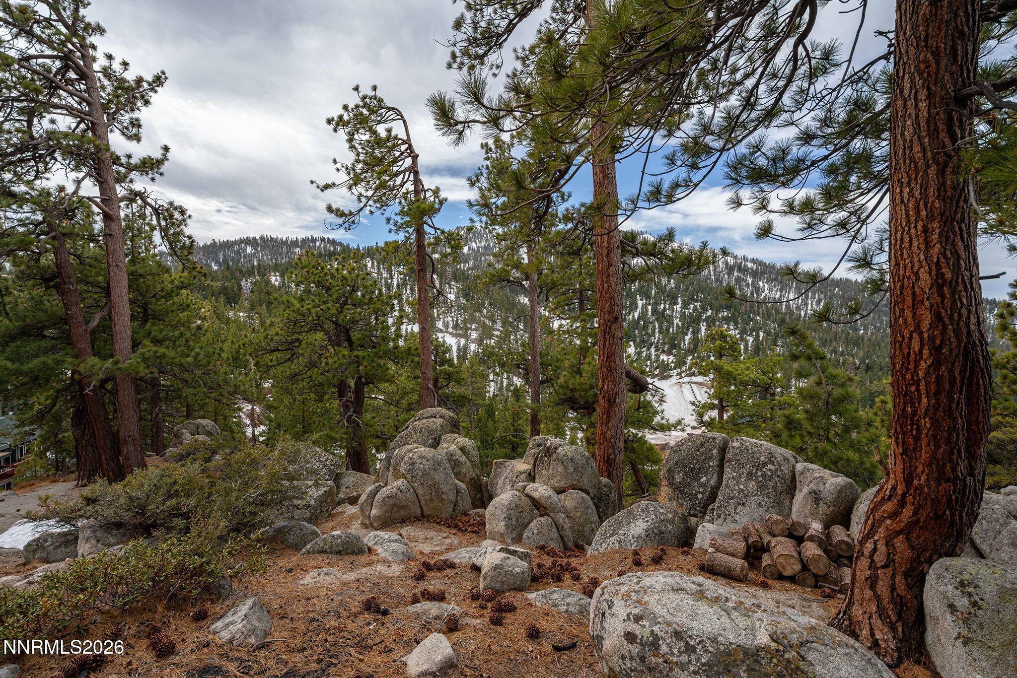 18-web-or-mls-_DSC8064