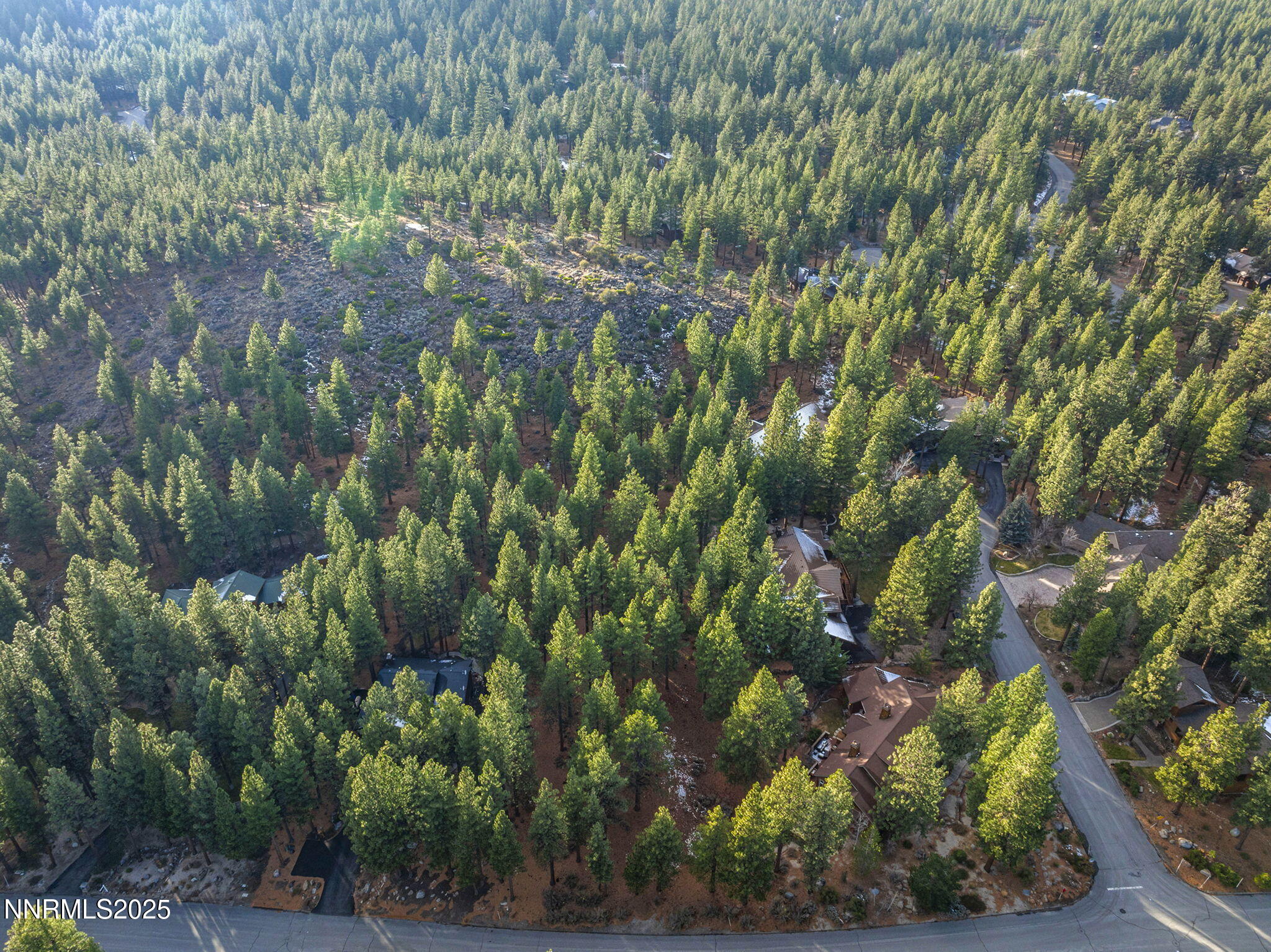 12-web-or-mls-DJI_0424 (2)