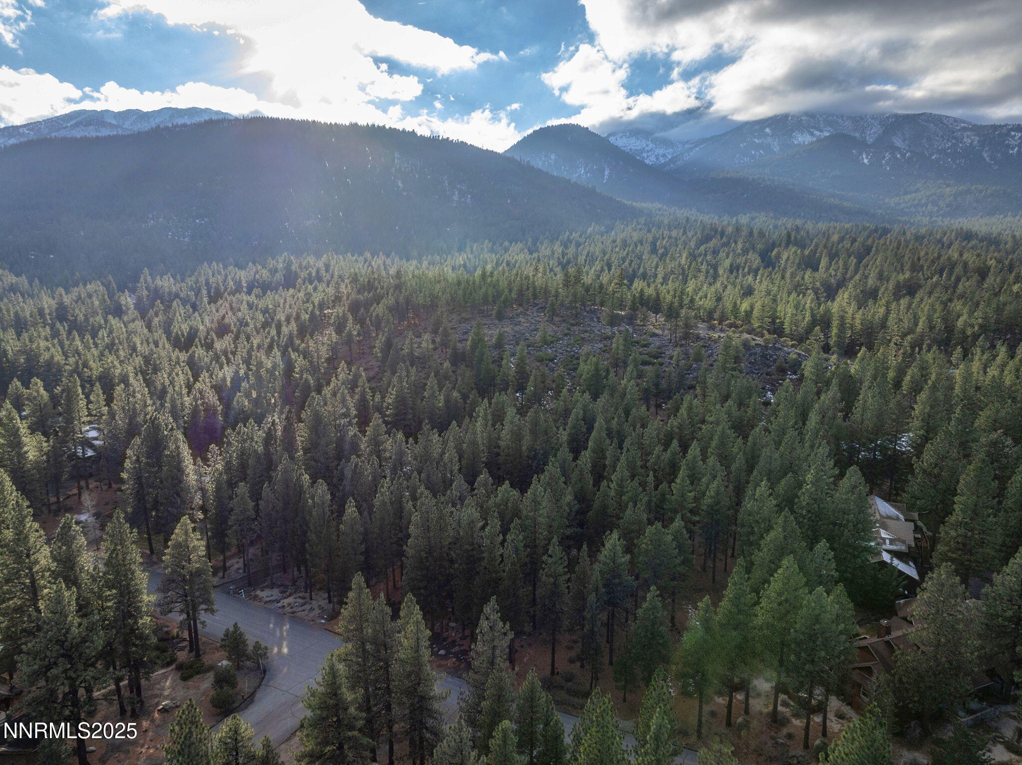 11-web-or-mls-DJI_0455