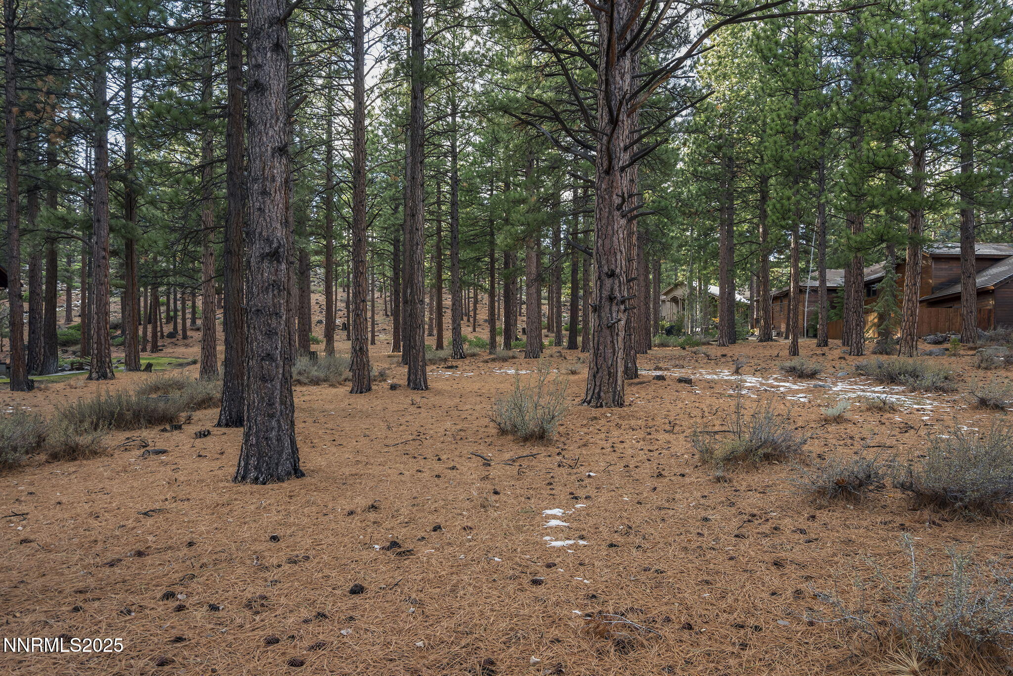 3-web-or-mls-_DSC0397