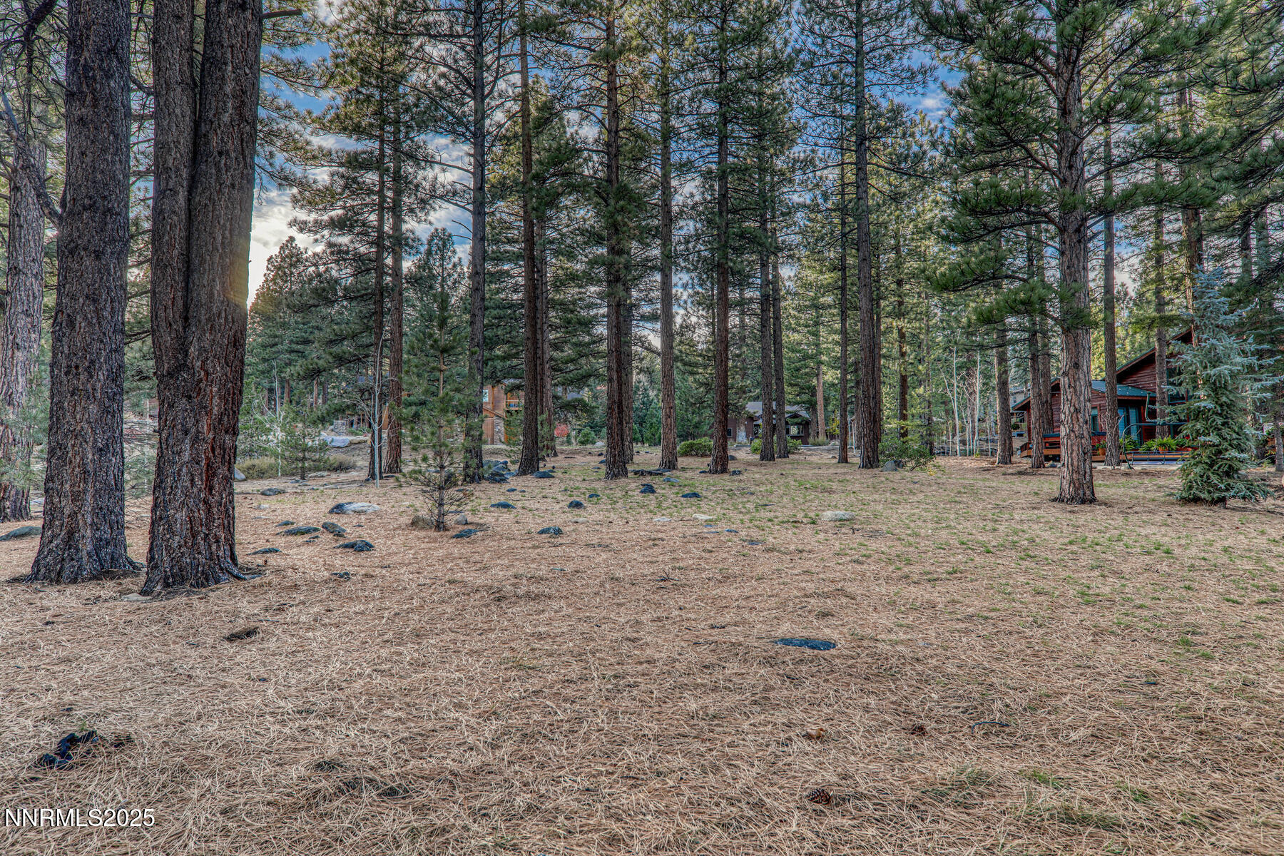 25 Winterberry Ct Reno NV 89511 USA-006-