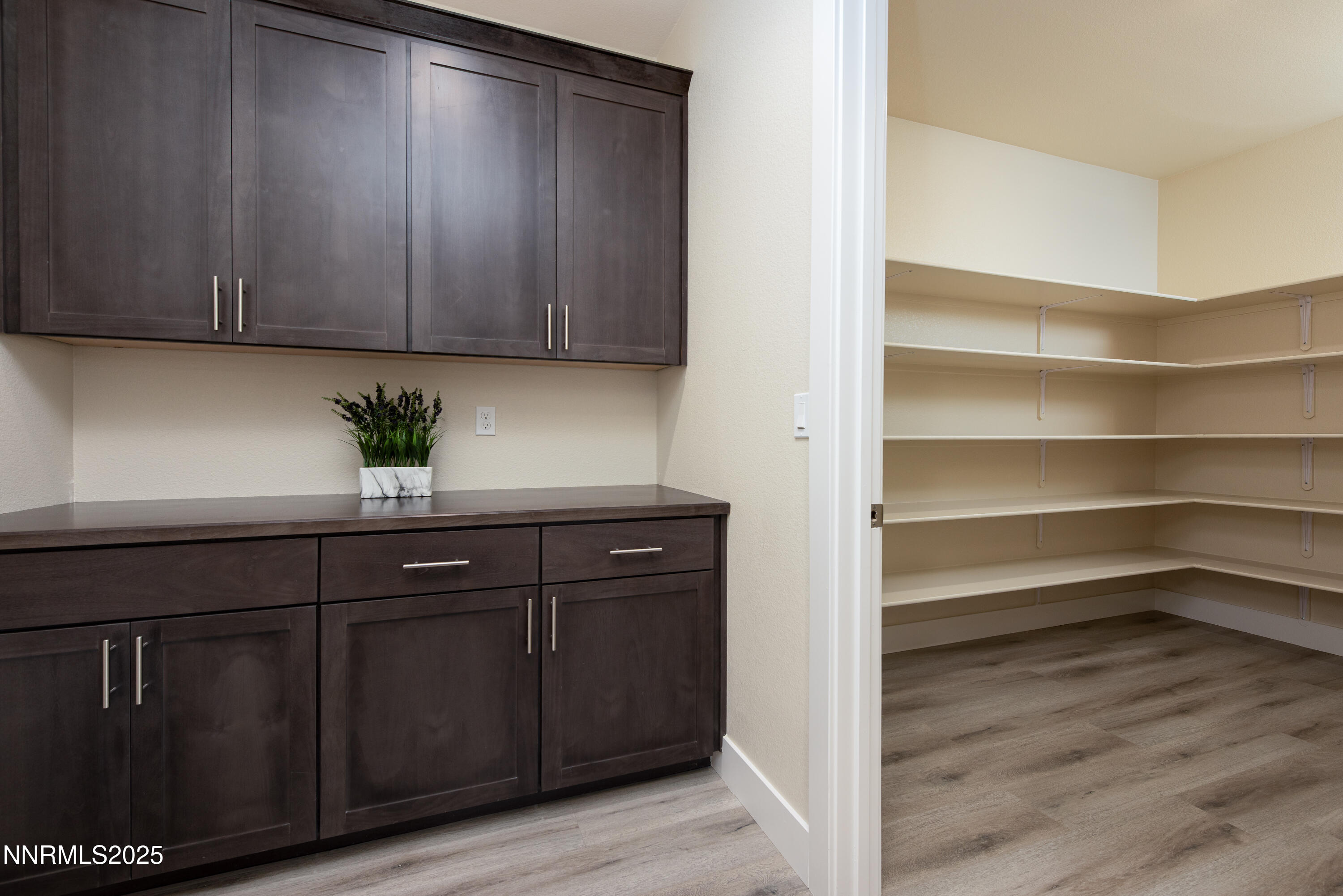 692 Sage Grouse Lp-30