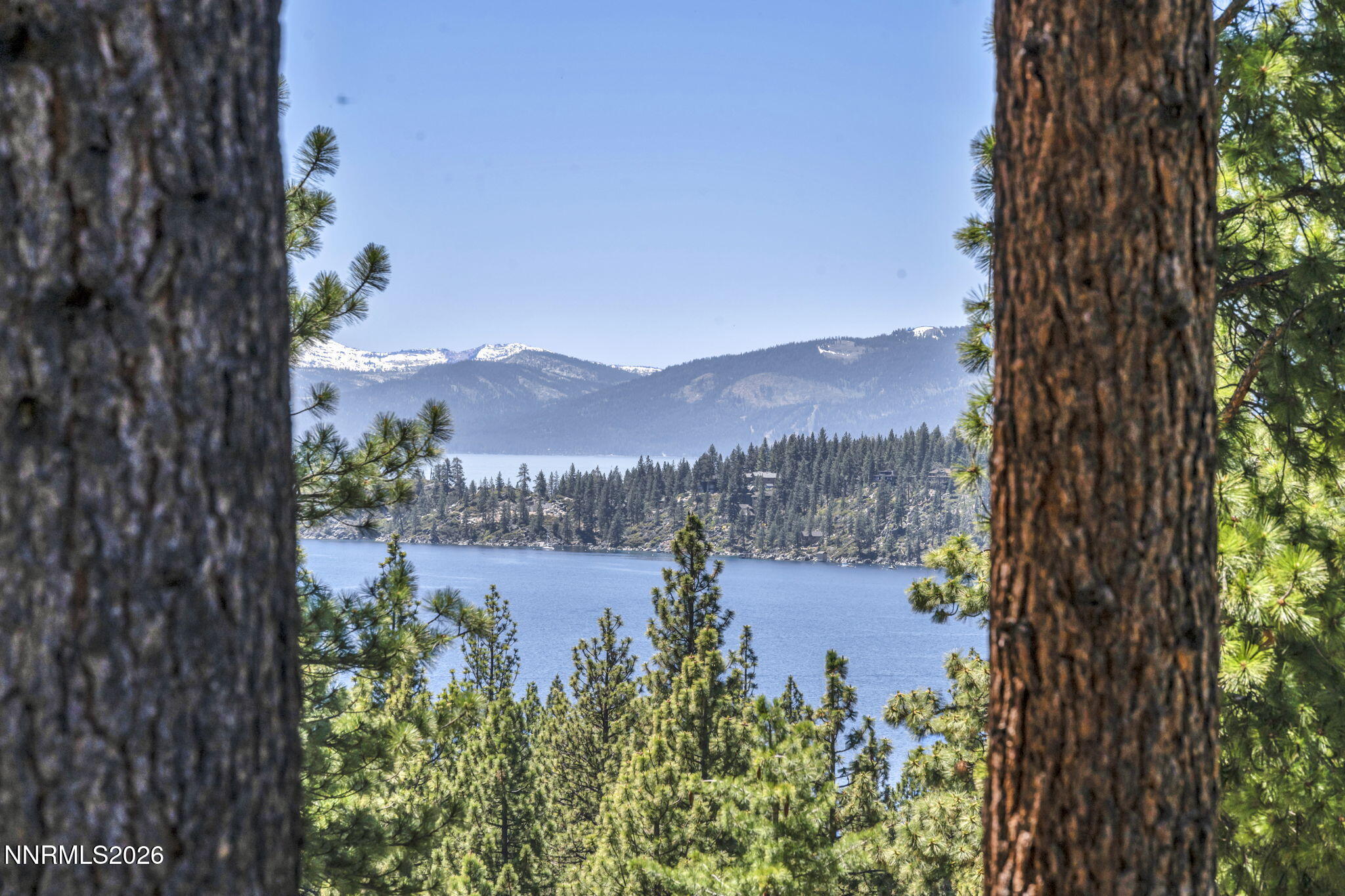 57-web-or-mls-615-woodridge-cir