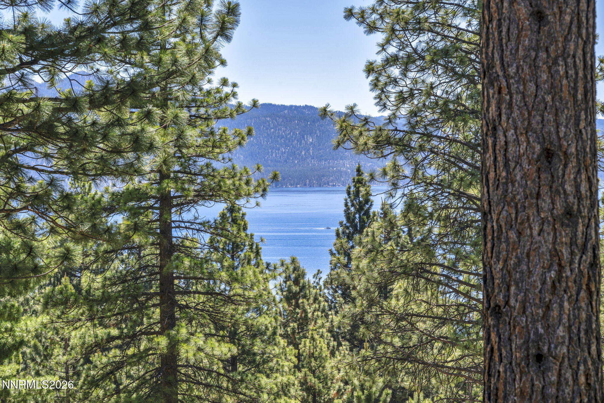 62-web-or-mls-615-woodridge-cir