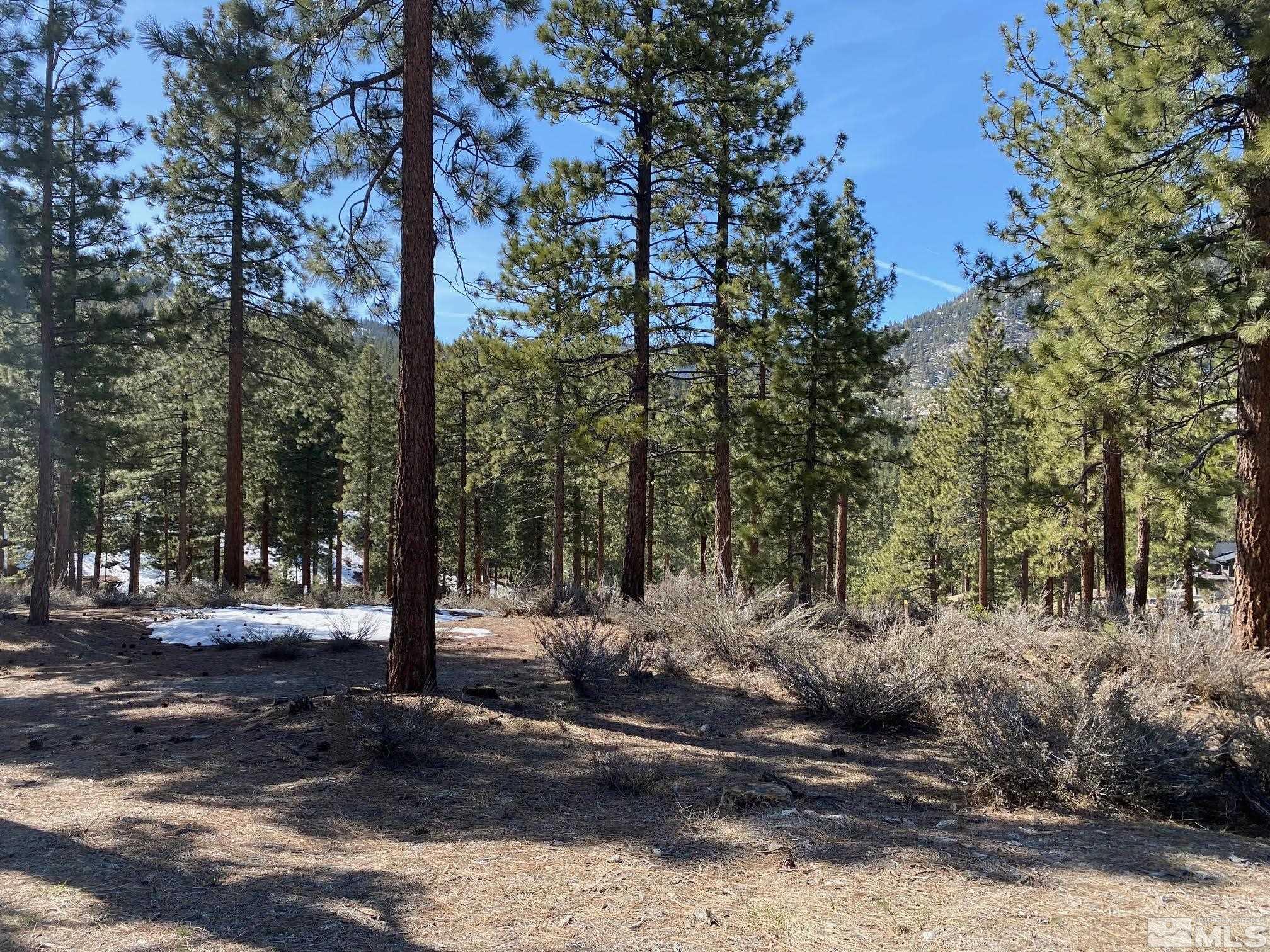 156 Walton Toll Road