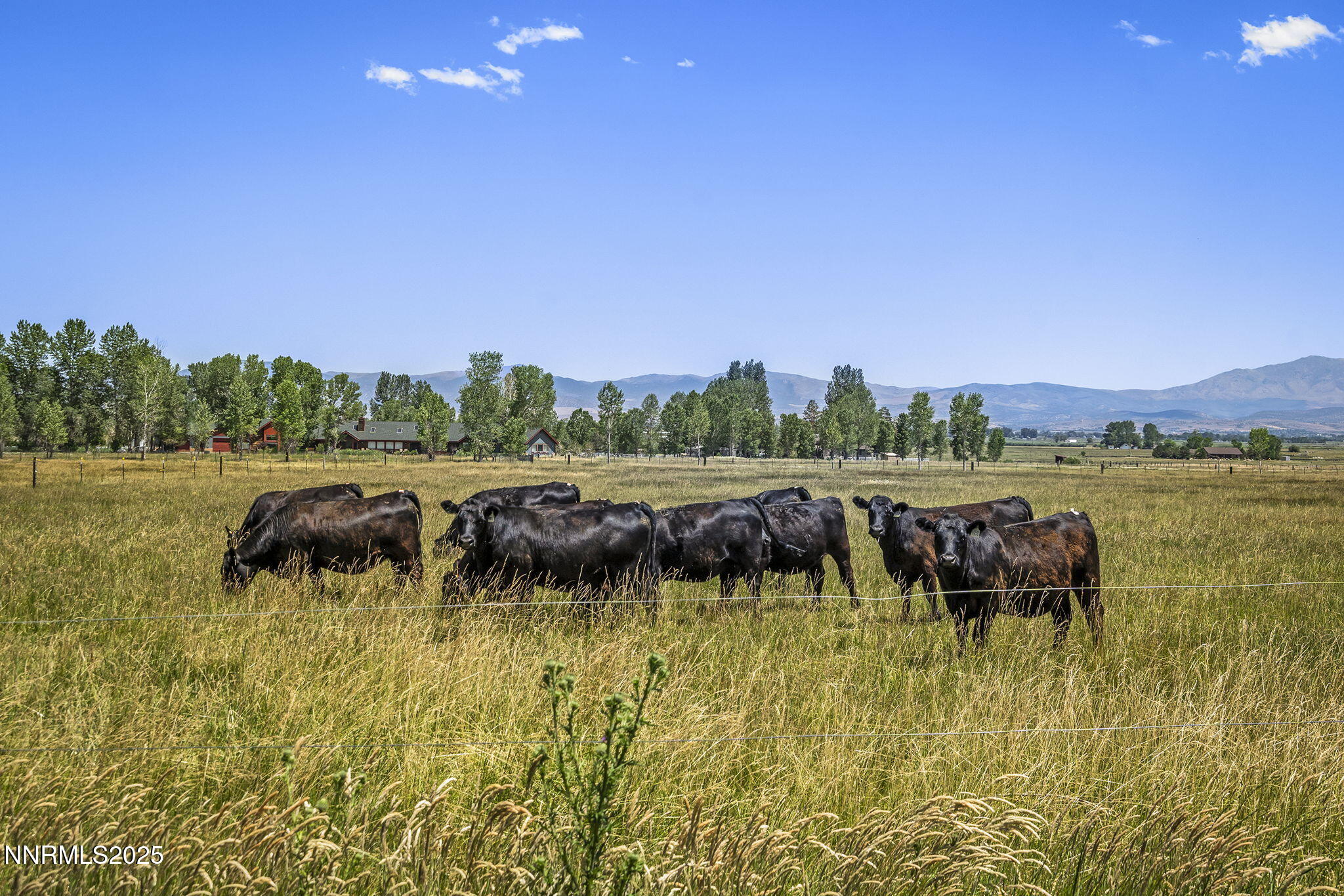 87-web-or-mls-_DSC5379