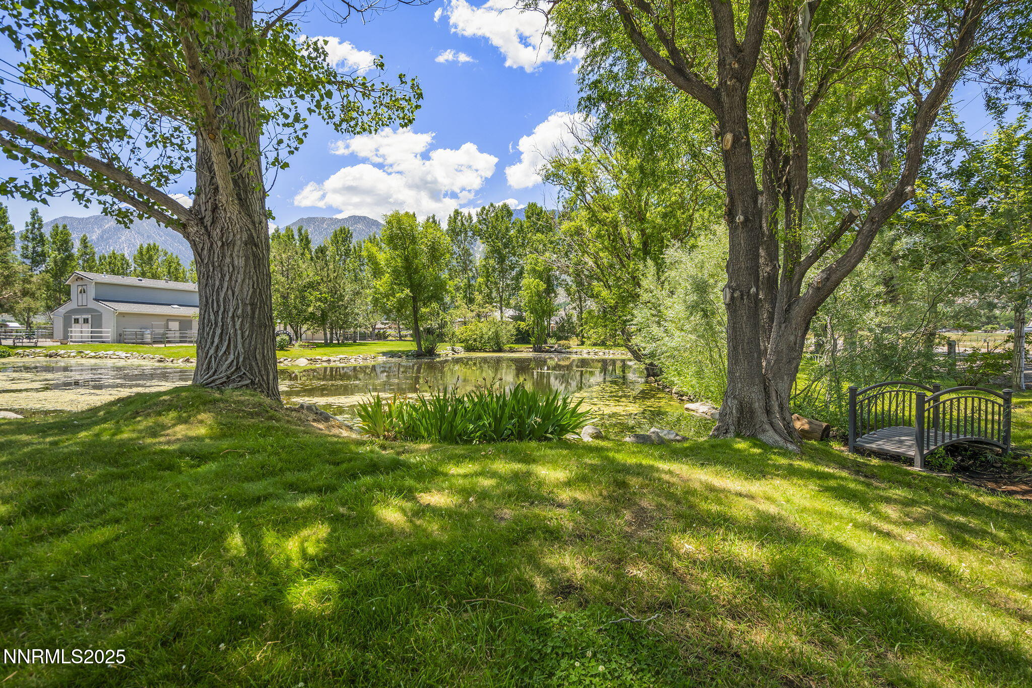 78-web-or-mls-_DSC5324