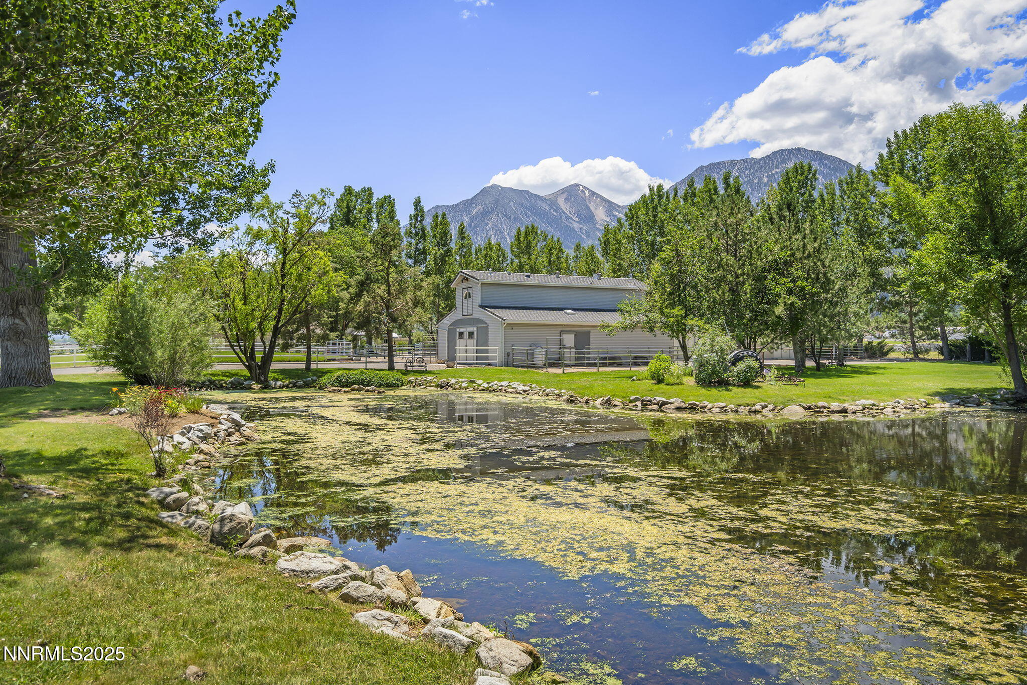 79-web-or-mls-_DSC5329