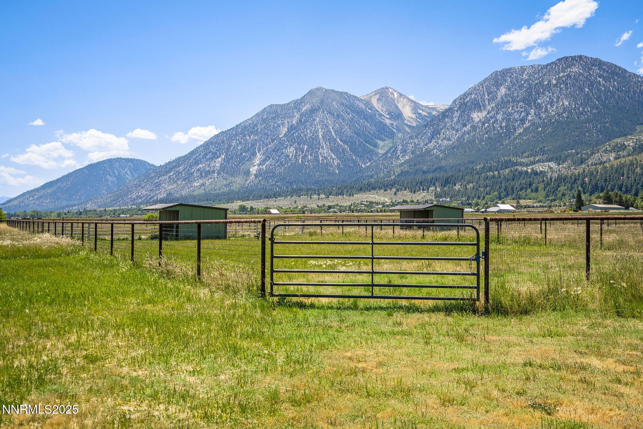 60-web-or-mls-_DSC5219