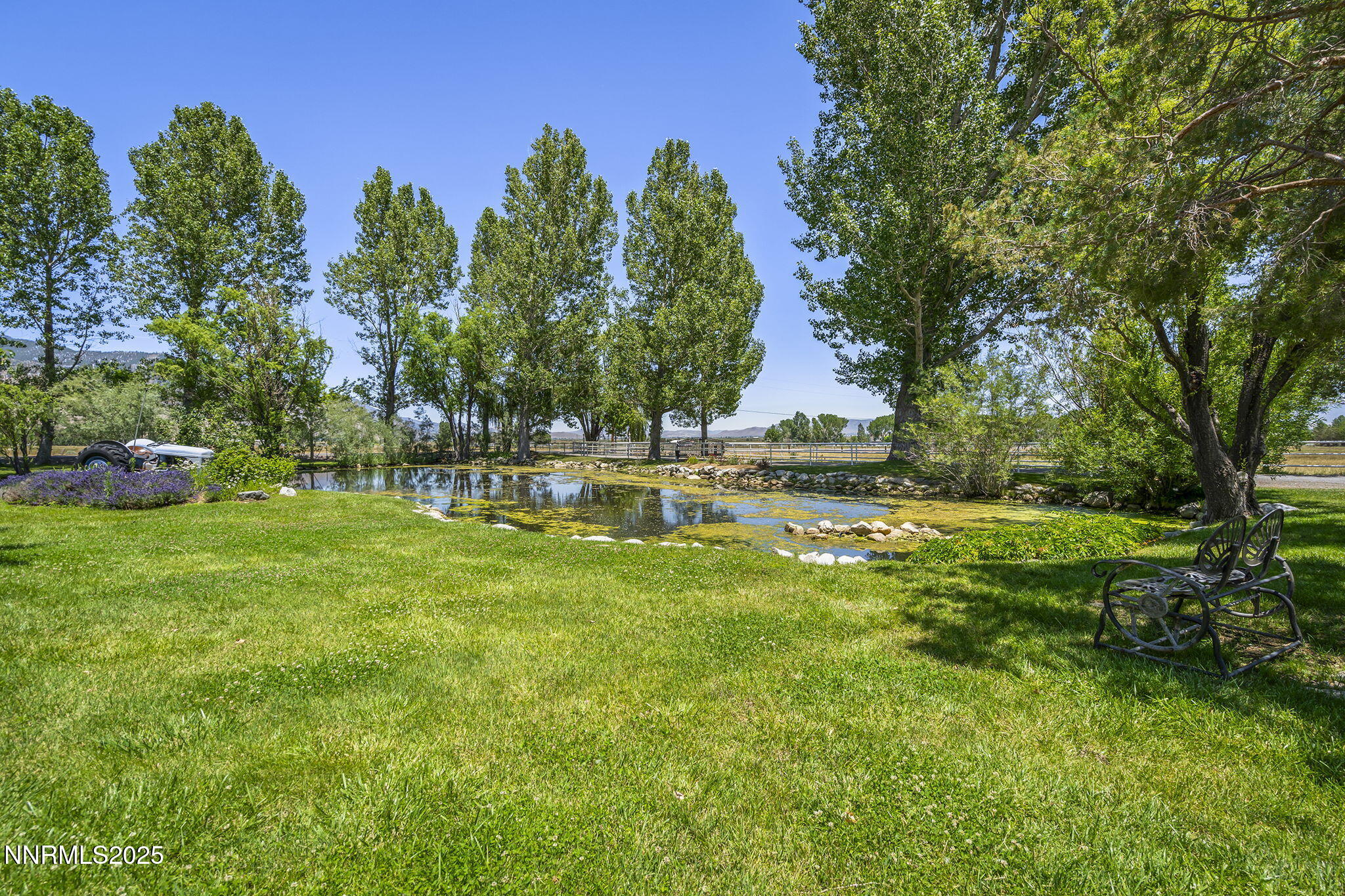 72-web-or-mls-_DSC5293