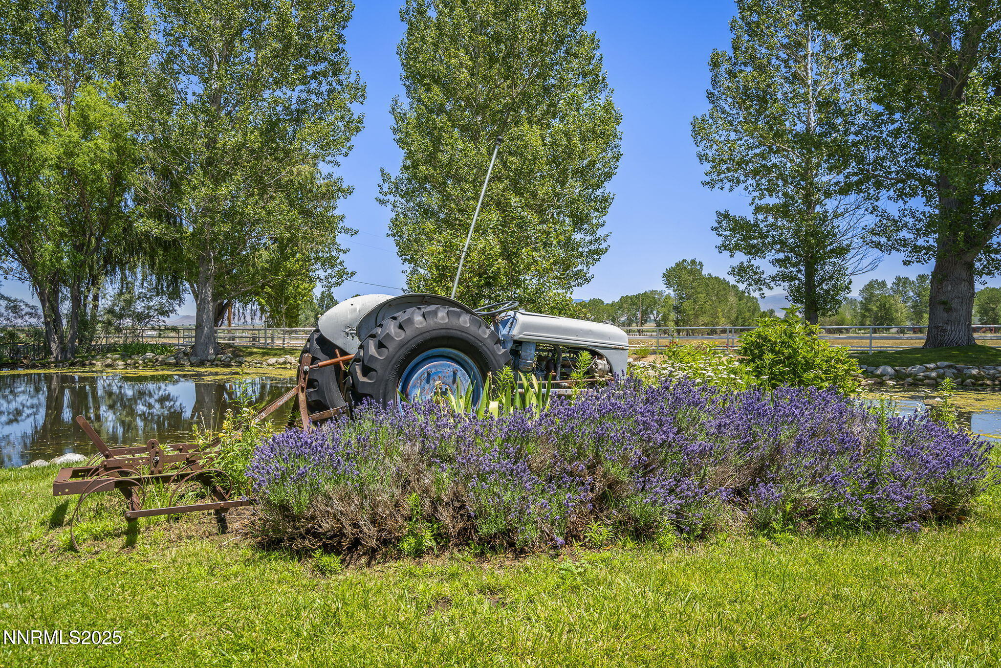 73-web-or-mls-_DSC5300