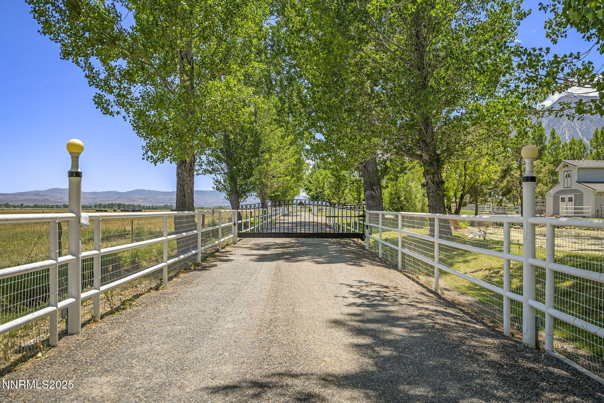 81-web-or-mls-_DSC5339