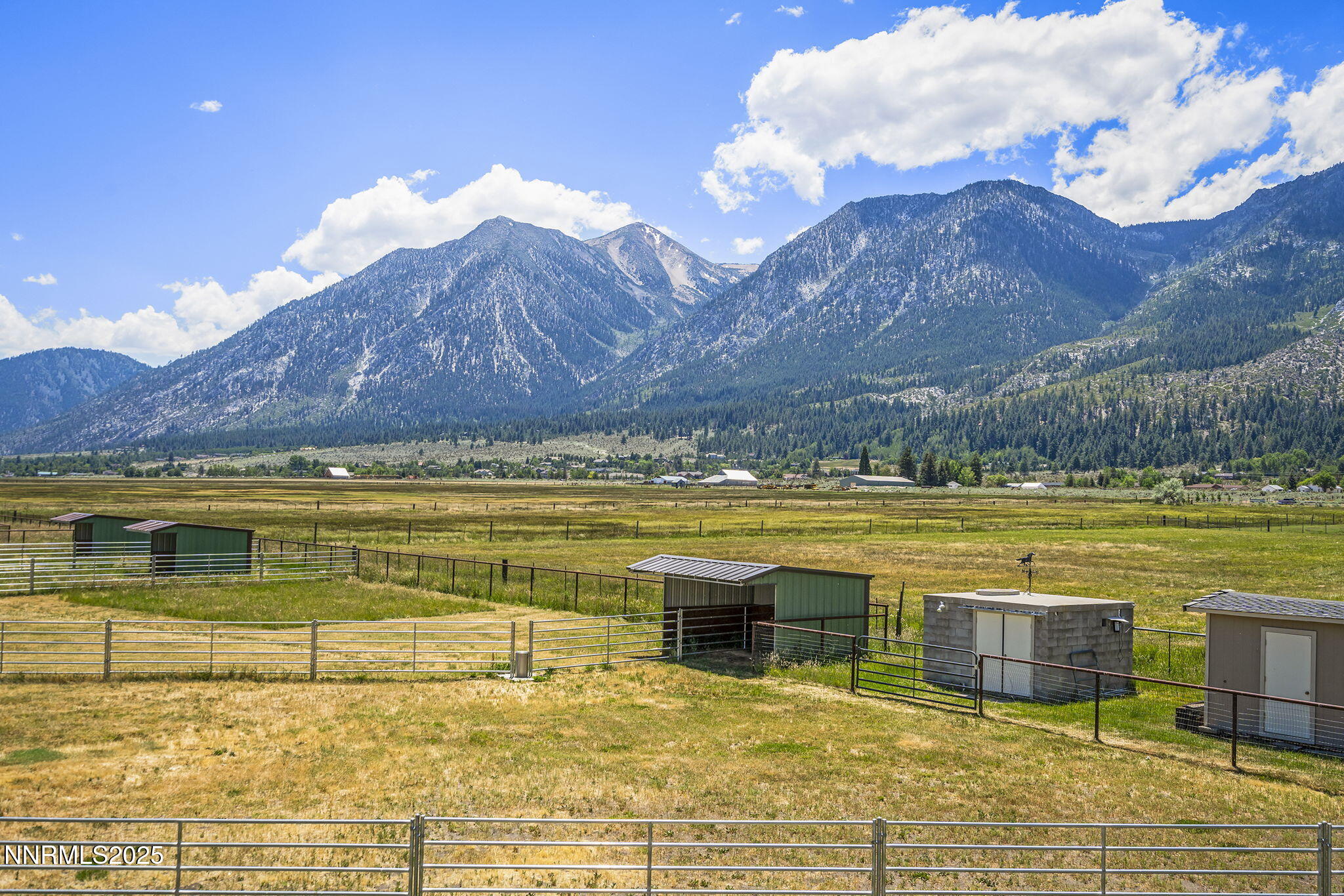 88-web-or-mls-_DSC5386