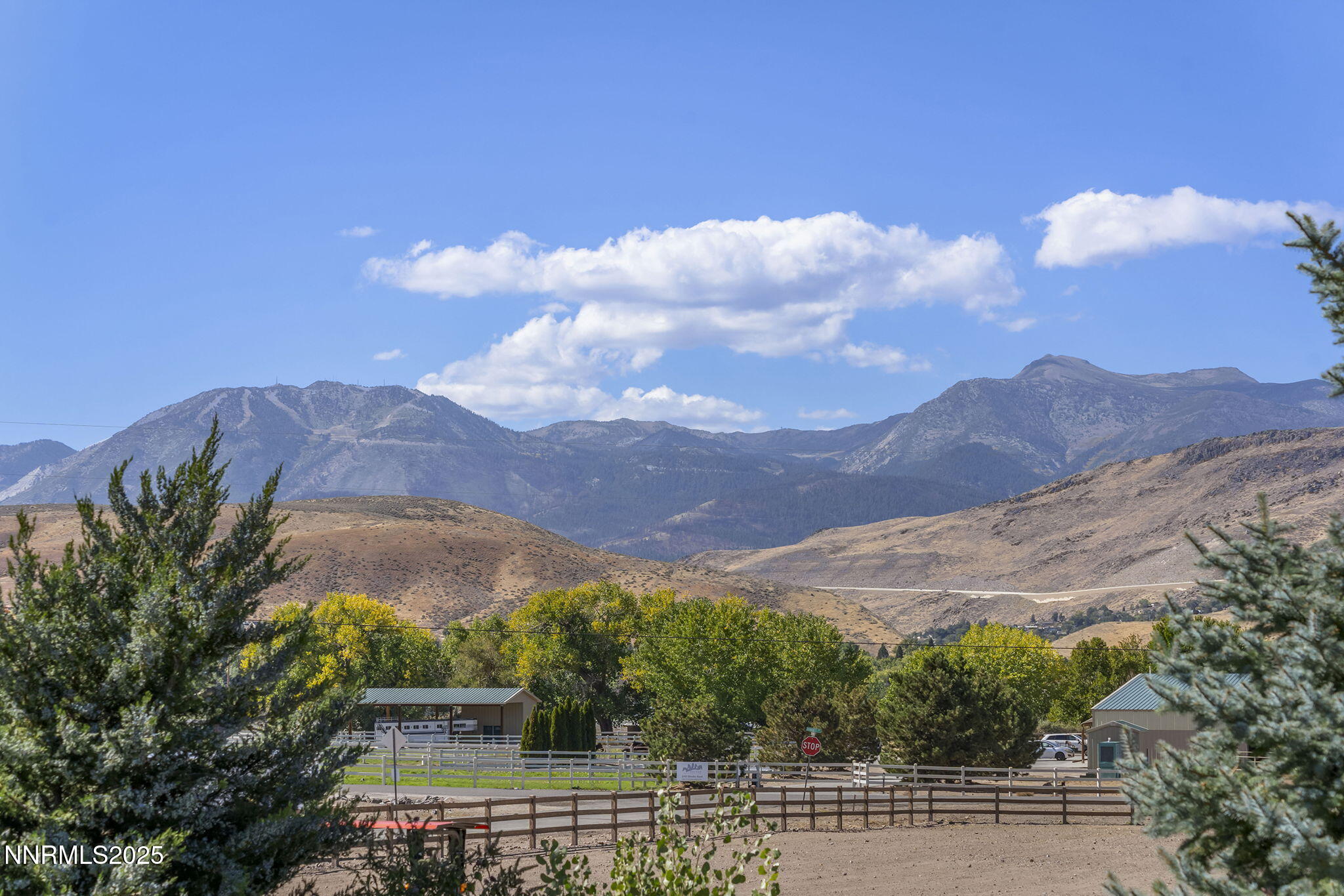 69-web-or-mls-_DSC0224