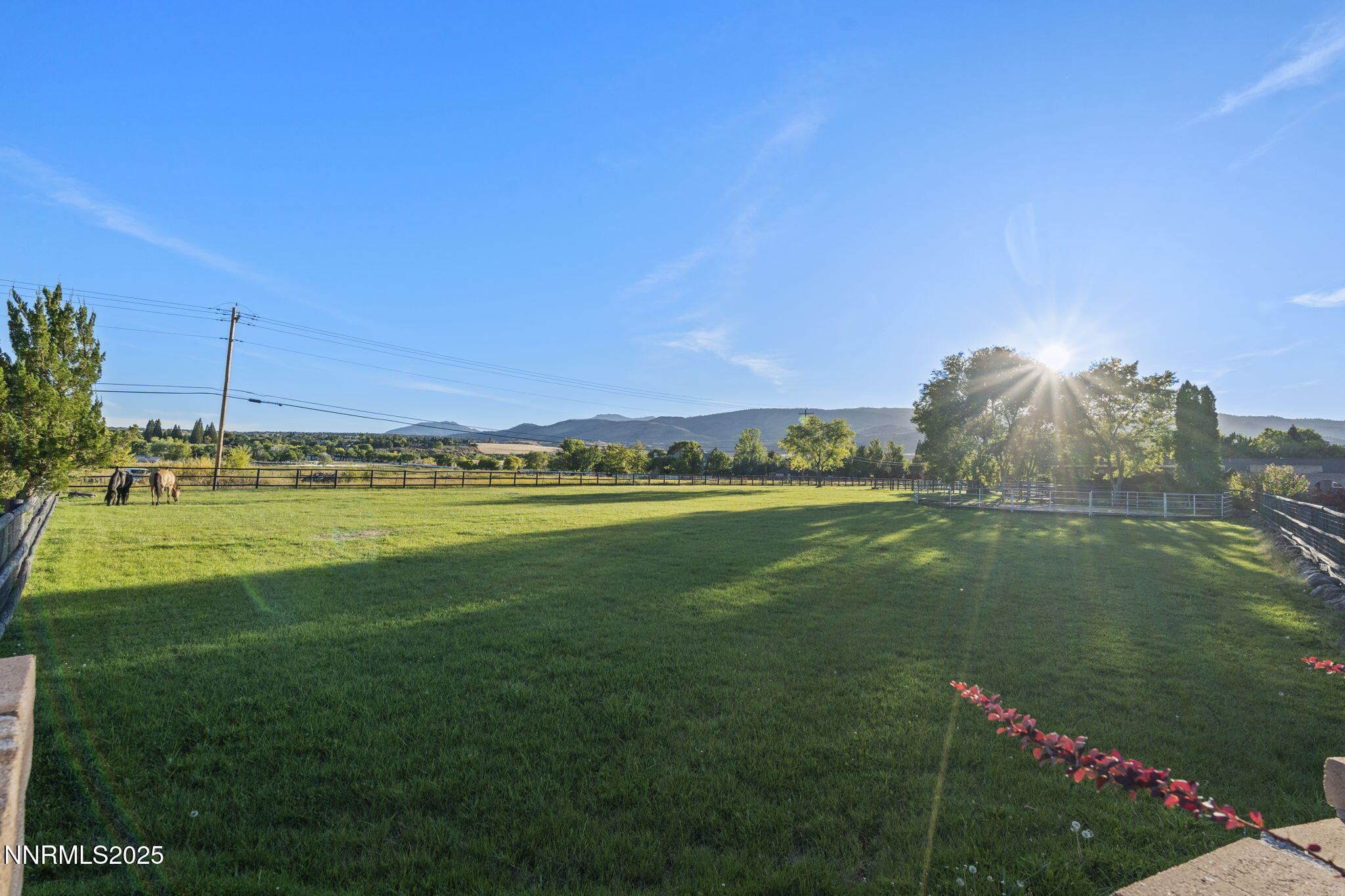 67-web-or-mls-DSC05277