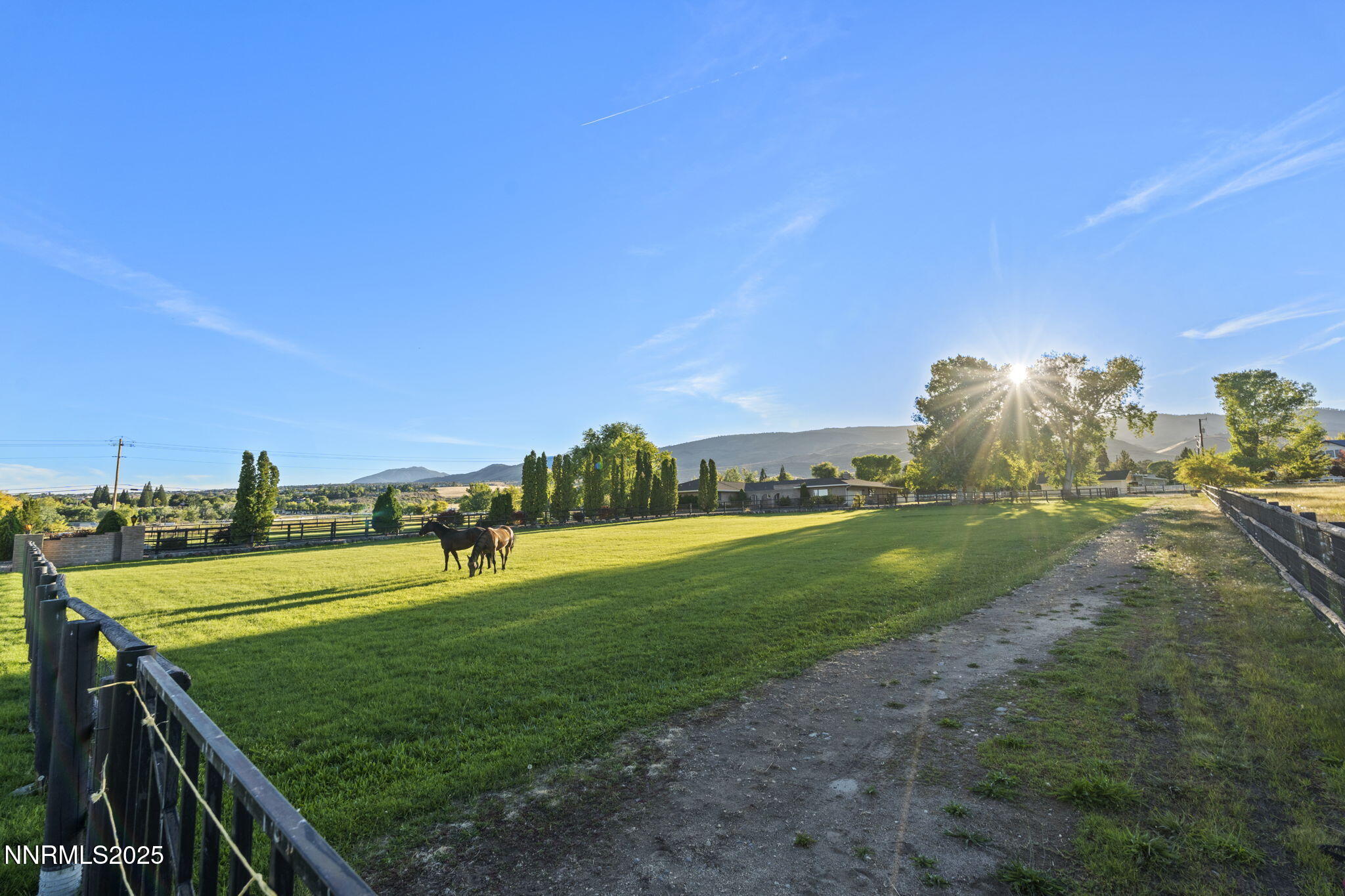 66-web-or-mls-DSC05294