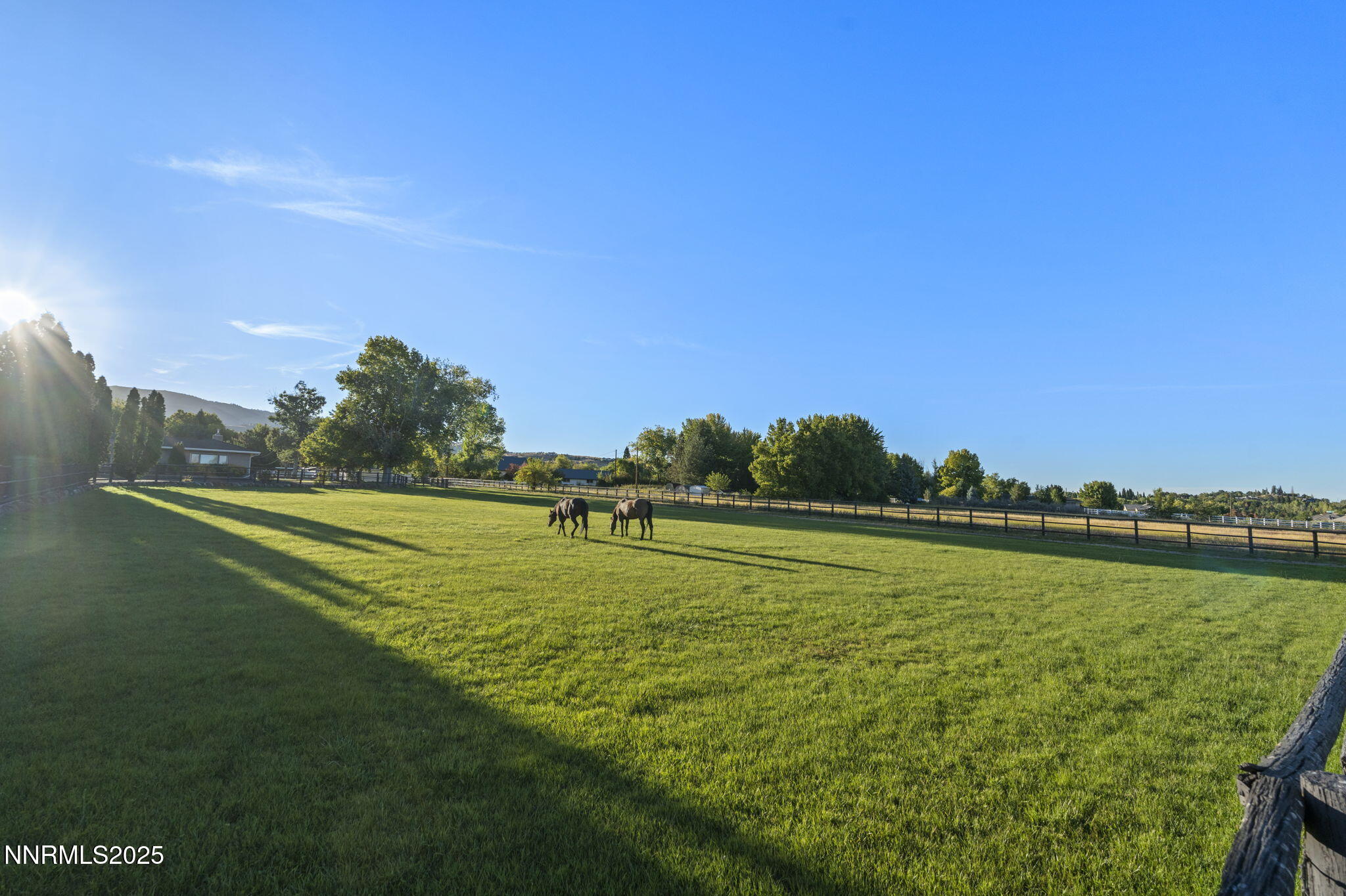 69-web-or-mls-DSC05287