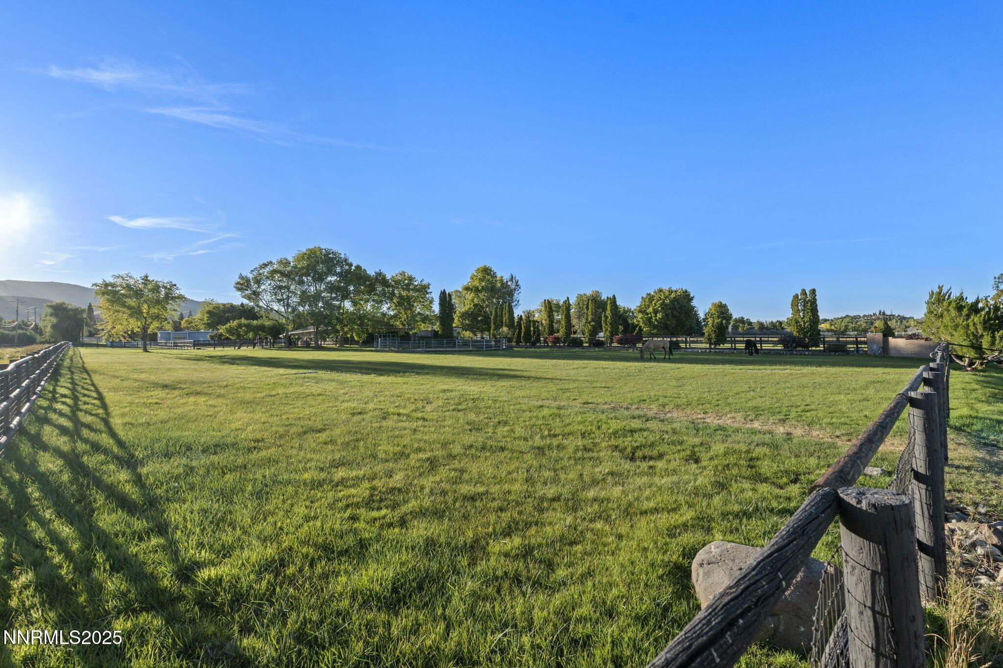 68-web-or-mls-DSC05282