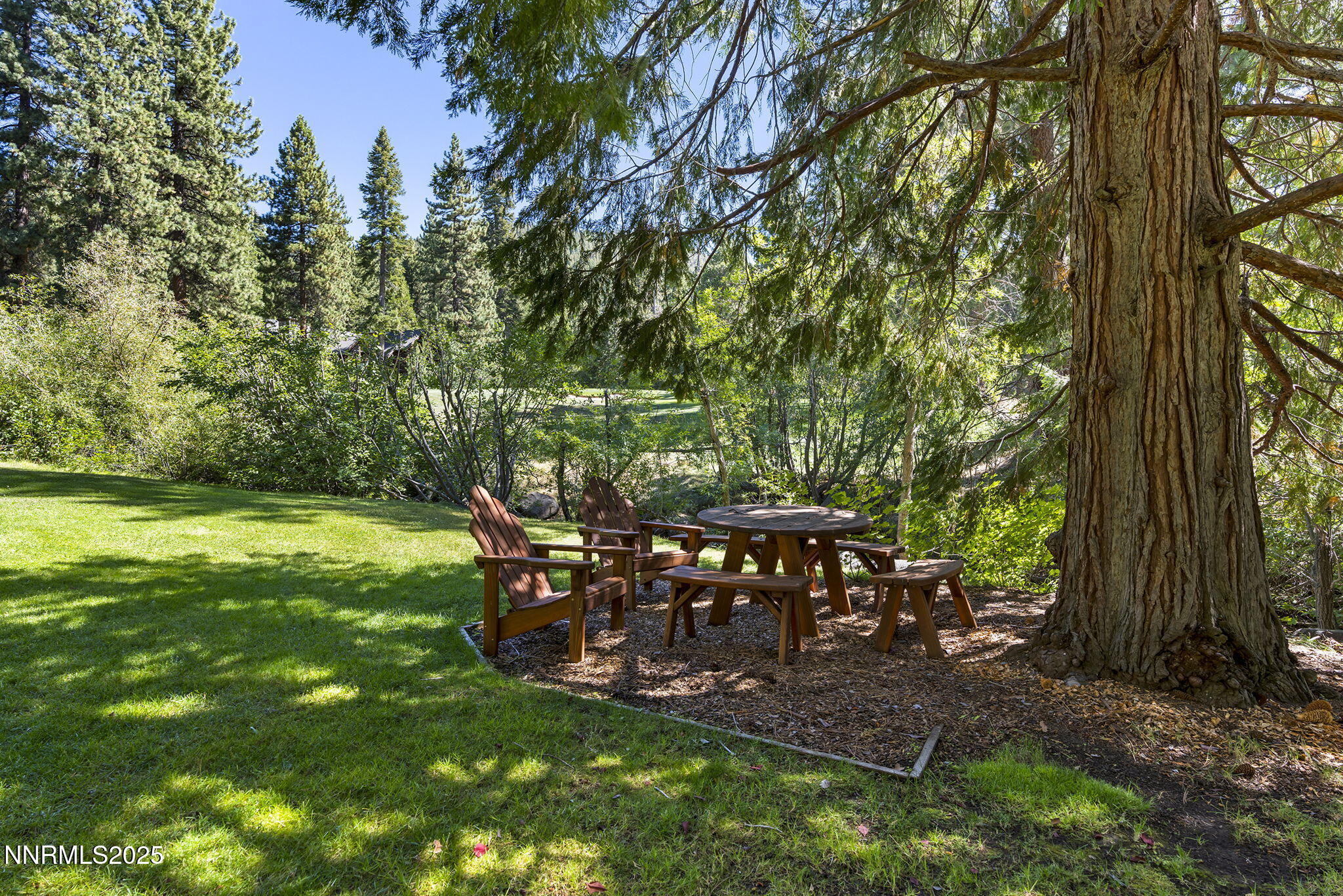 9-web-or-mls-_DSC7830