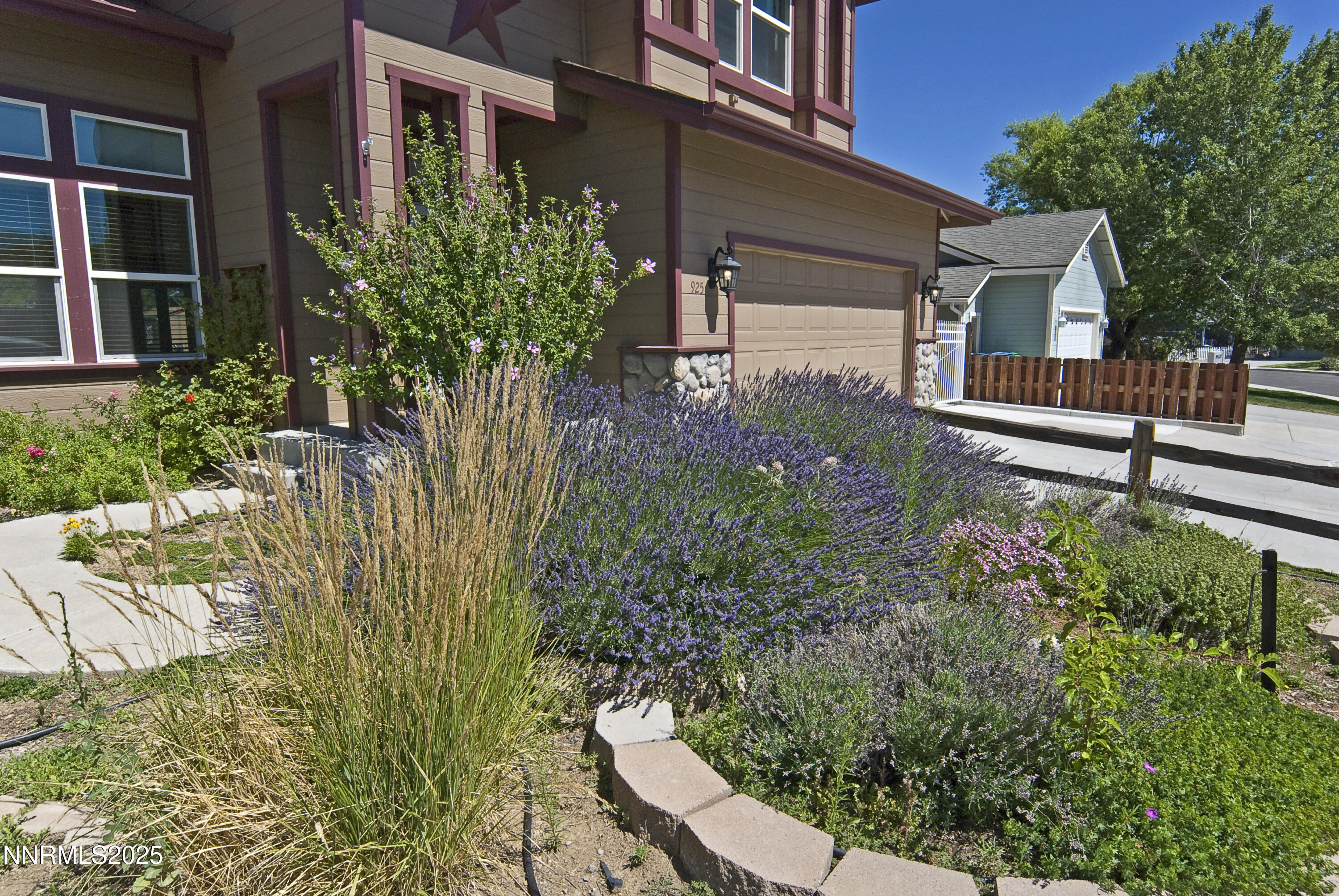 Beautiful Front Yard