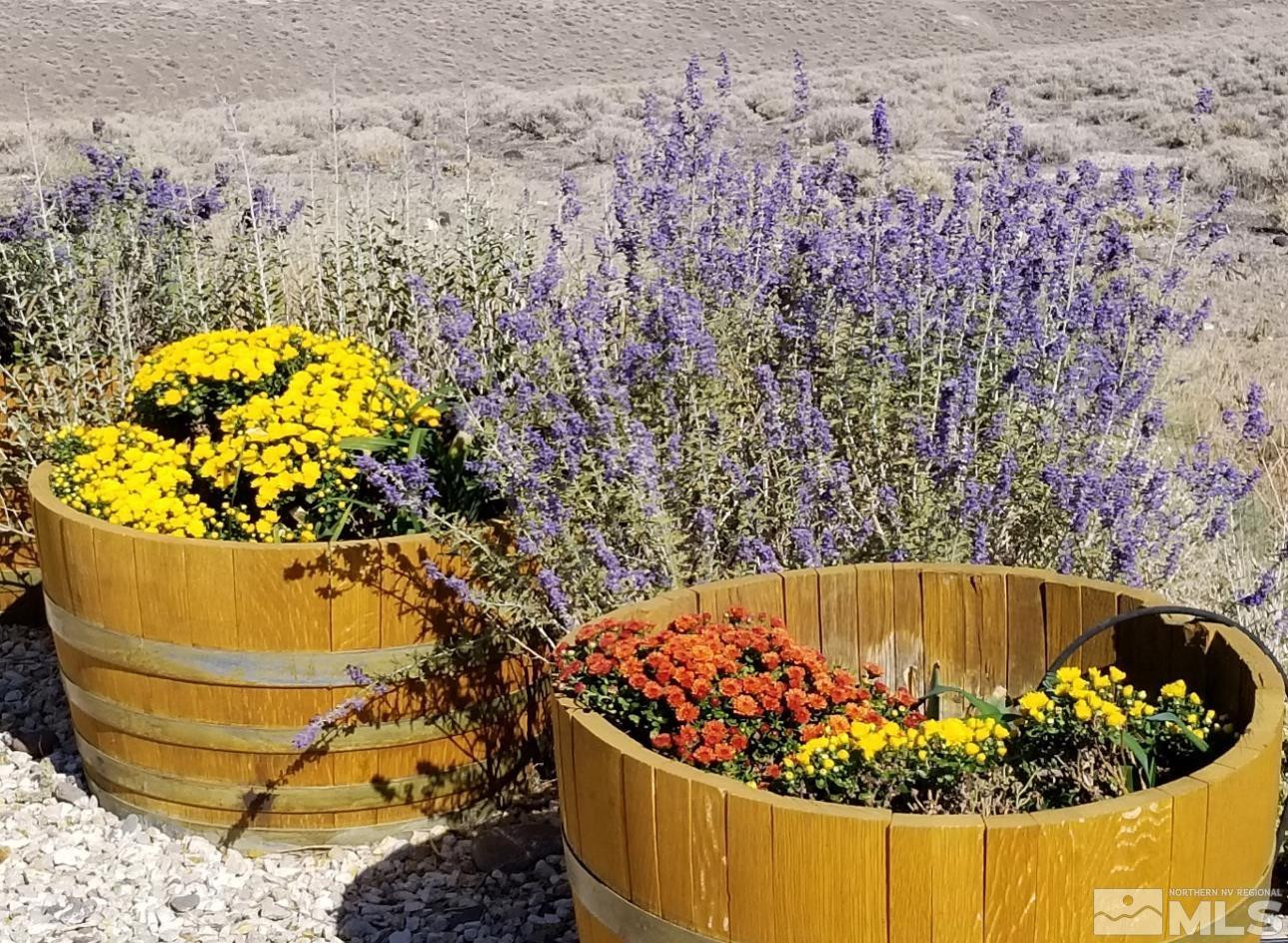 potted flowers on drip