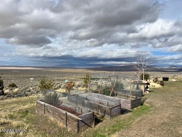 fish springs 8