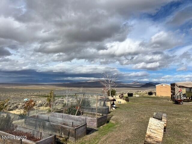 fish springs 6