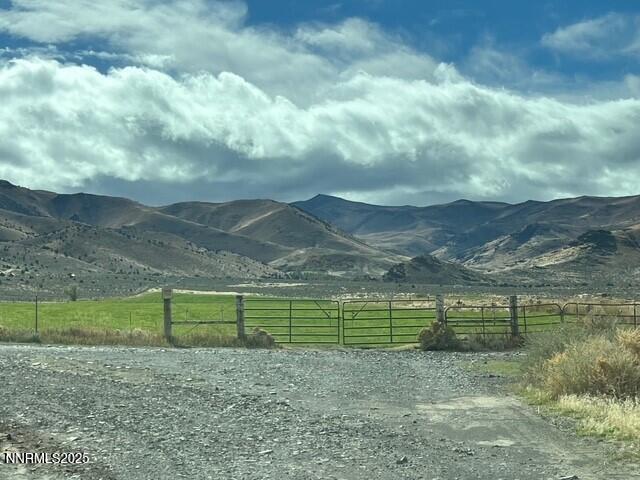 fish springs 16