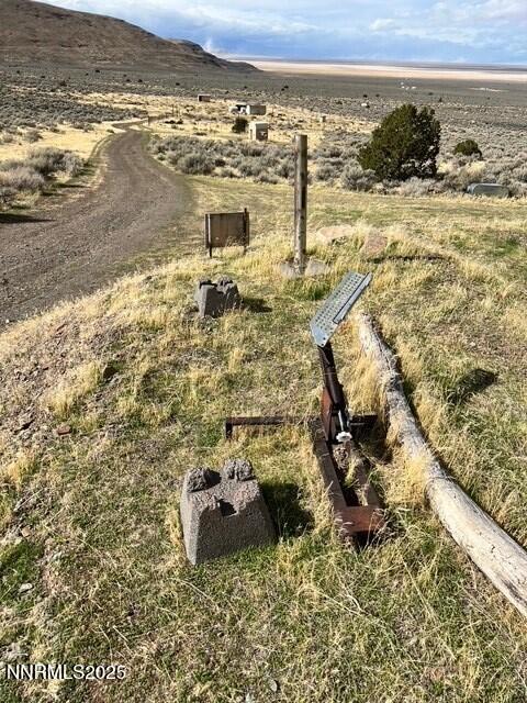 fish springs 9