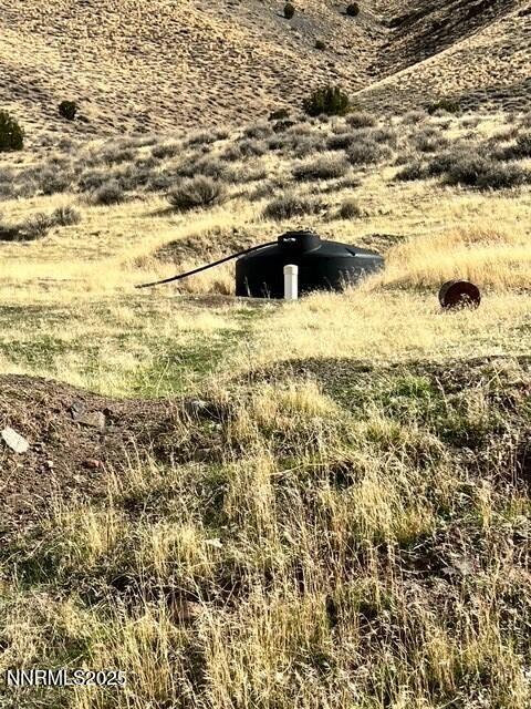 Fish Springs 3