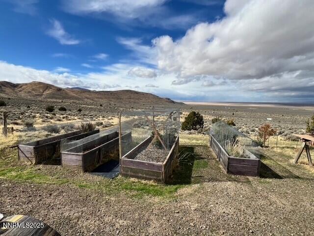 fish springs 12