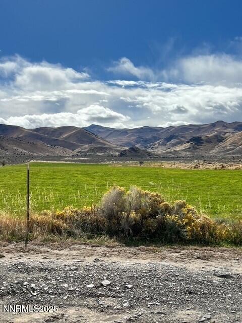 Fish Springs