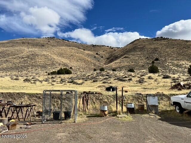 fish springs 13