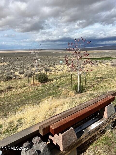 fish springs 10