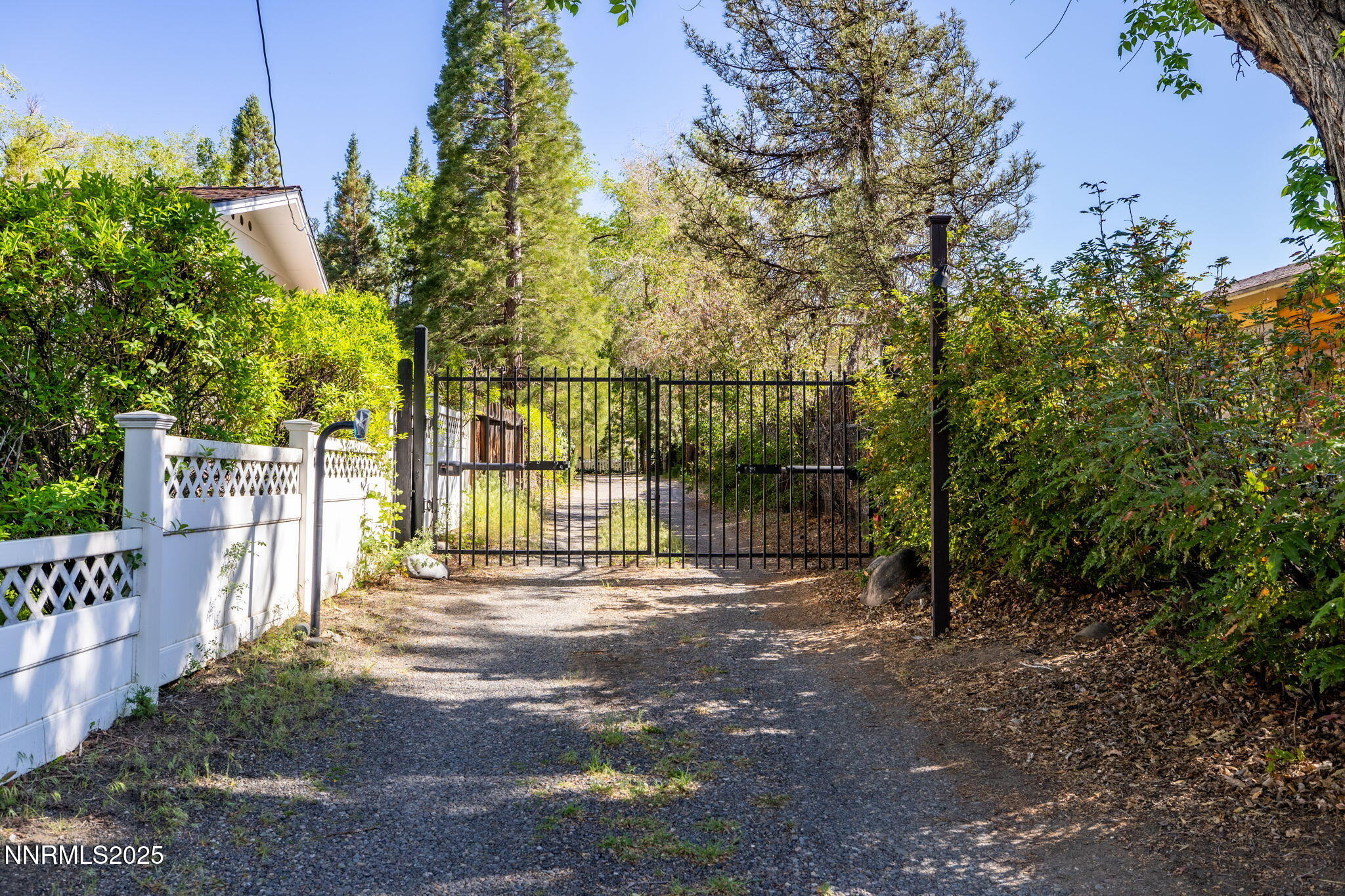 33-web-or-mls-1555 Mt Rose