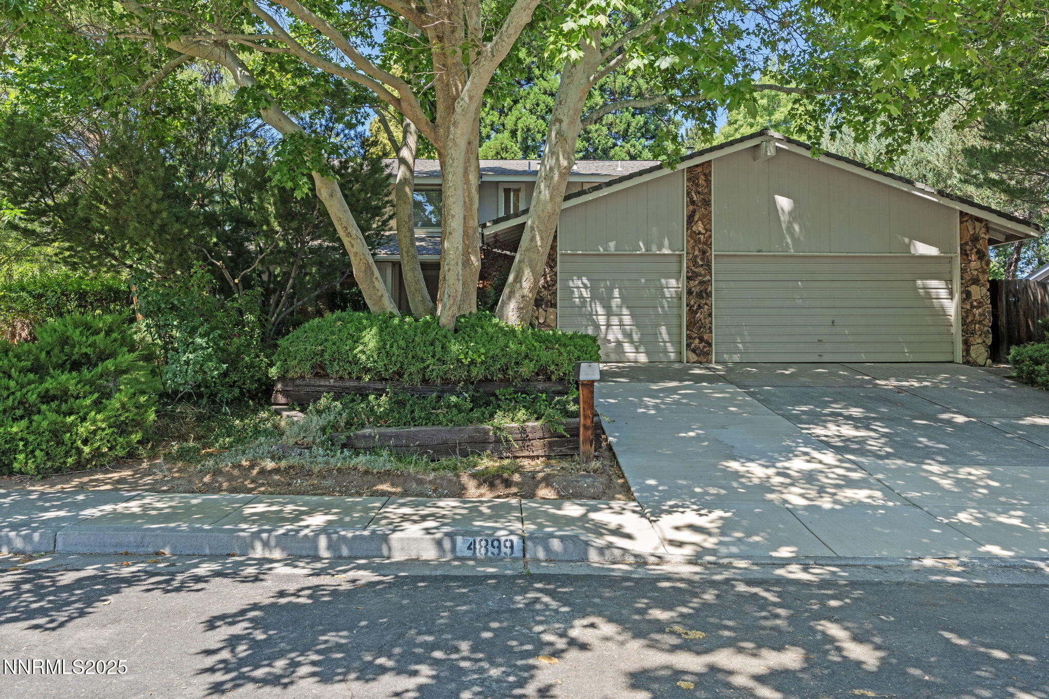 1-web-or-mls-DSC08392