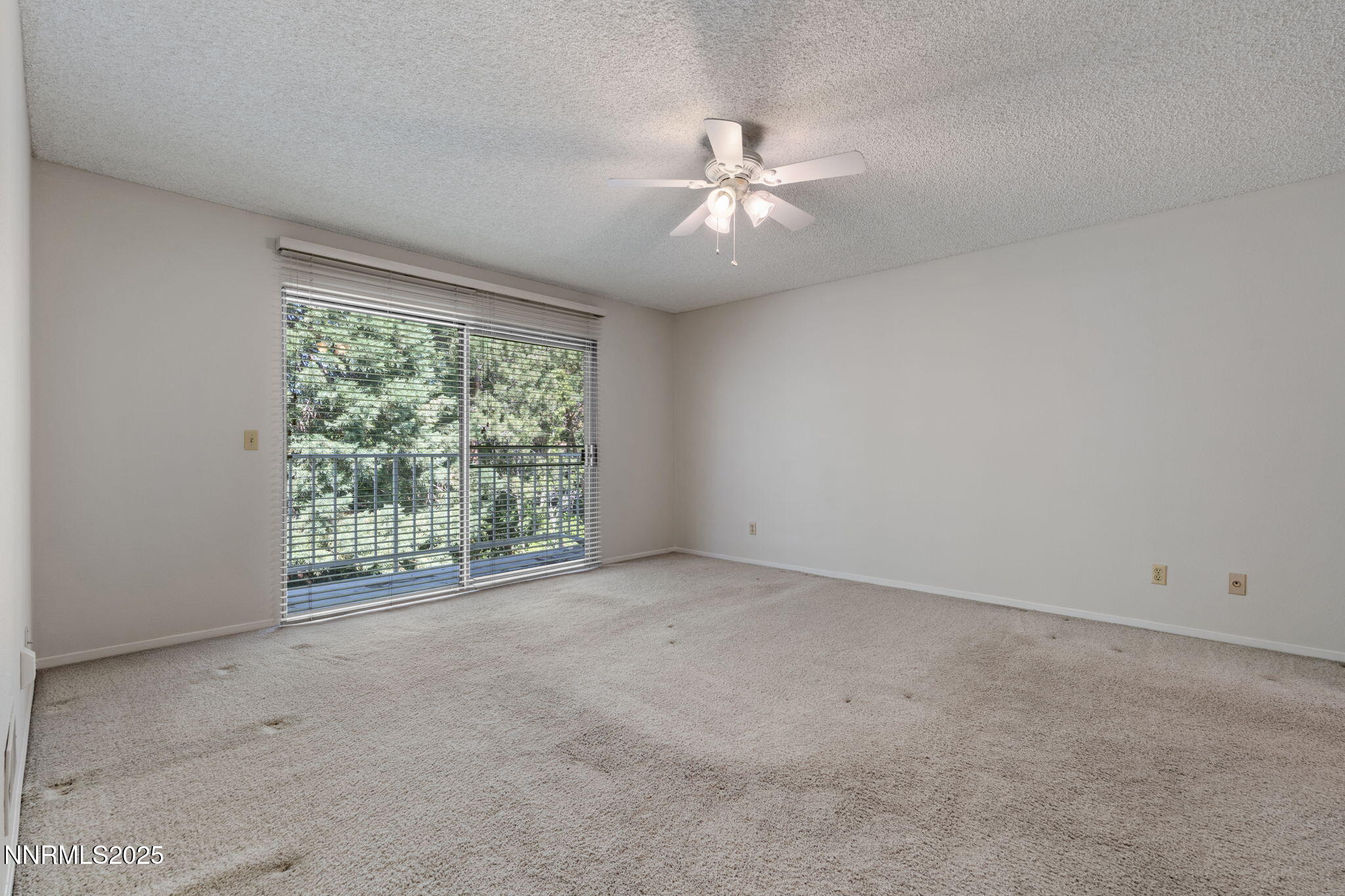 22-web-or-mls-DSC08191