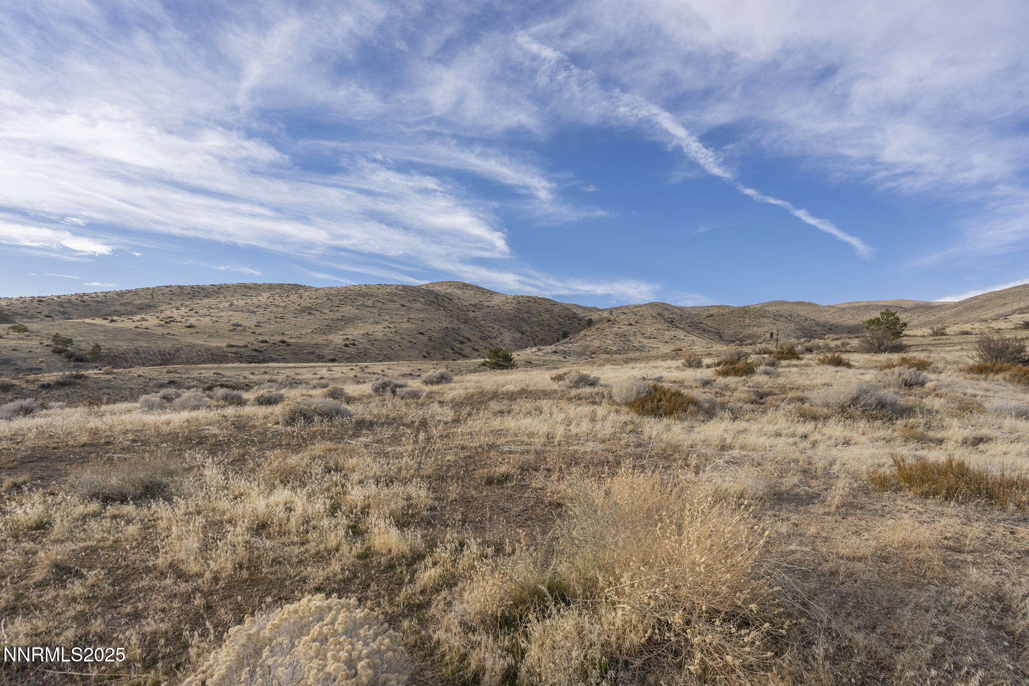 9-web-or-mls-_DSC0718