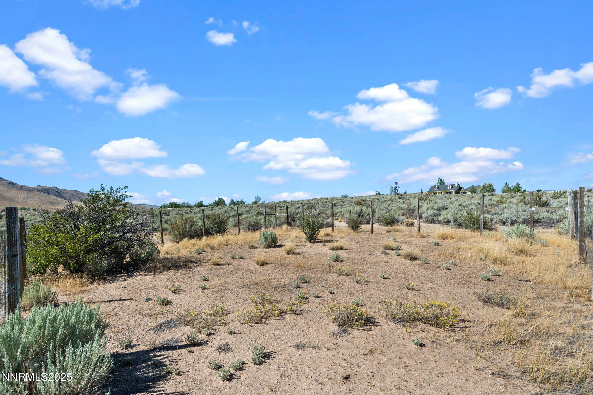 41-web-or-mls-DSC07939