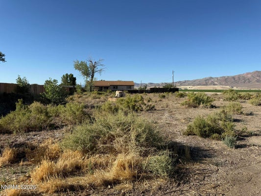 1 SMOKE TREE LN, YERINGTON, NV 89447 - Image c75d7de8ff8aeccdf1555881f4bf2fa5/418339936