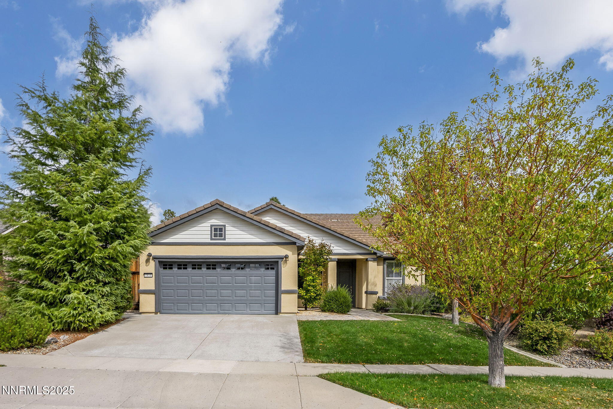 2-web-or-mls-_DSC0209