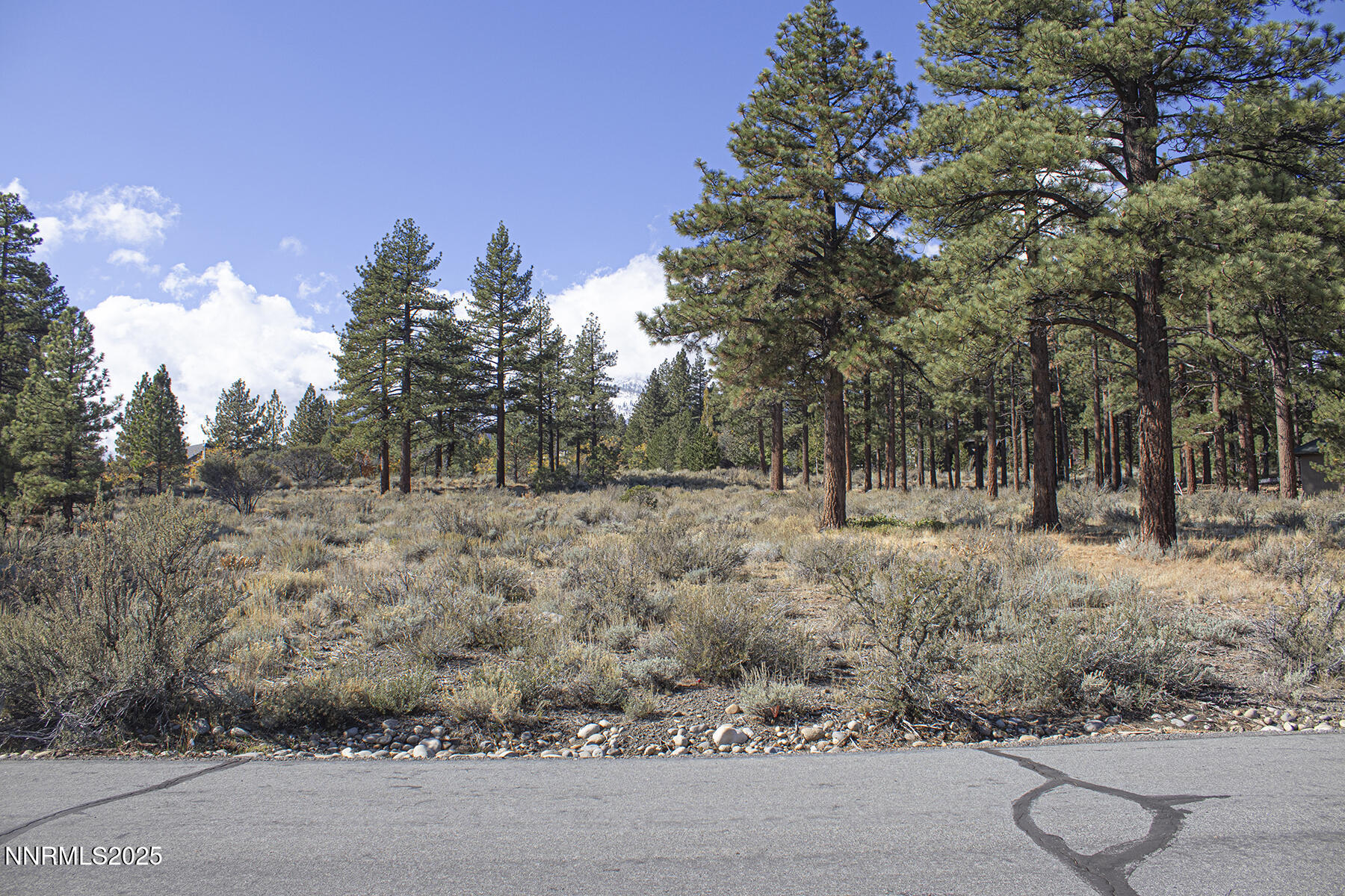 177 Nottingham Parcel