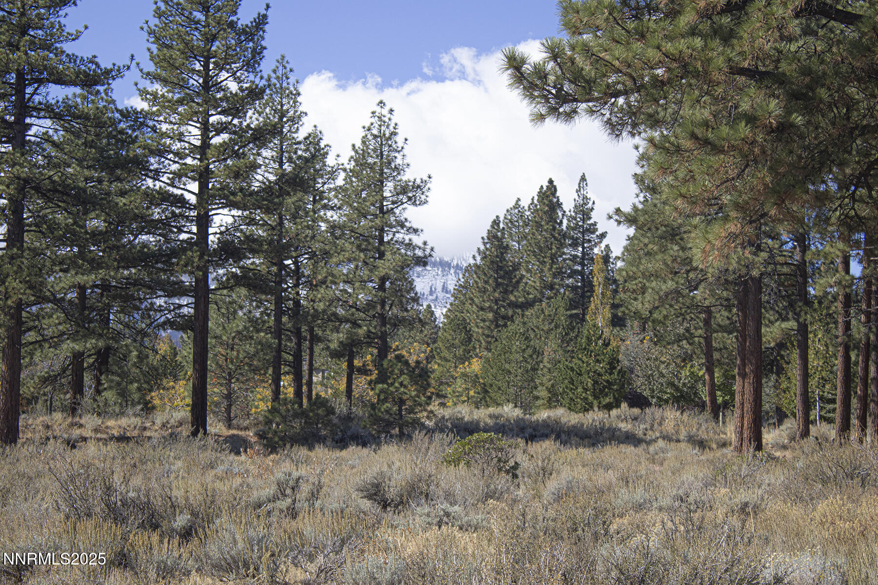 177 Nottingham Parcel